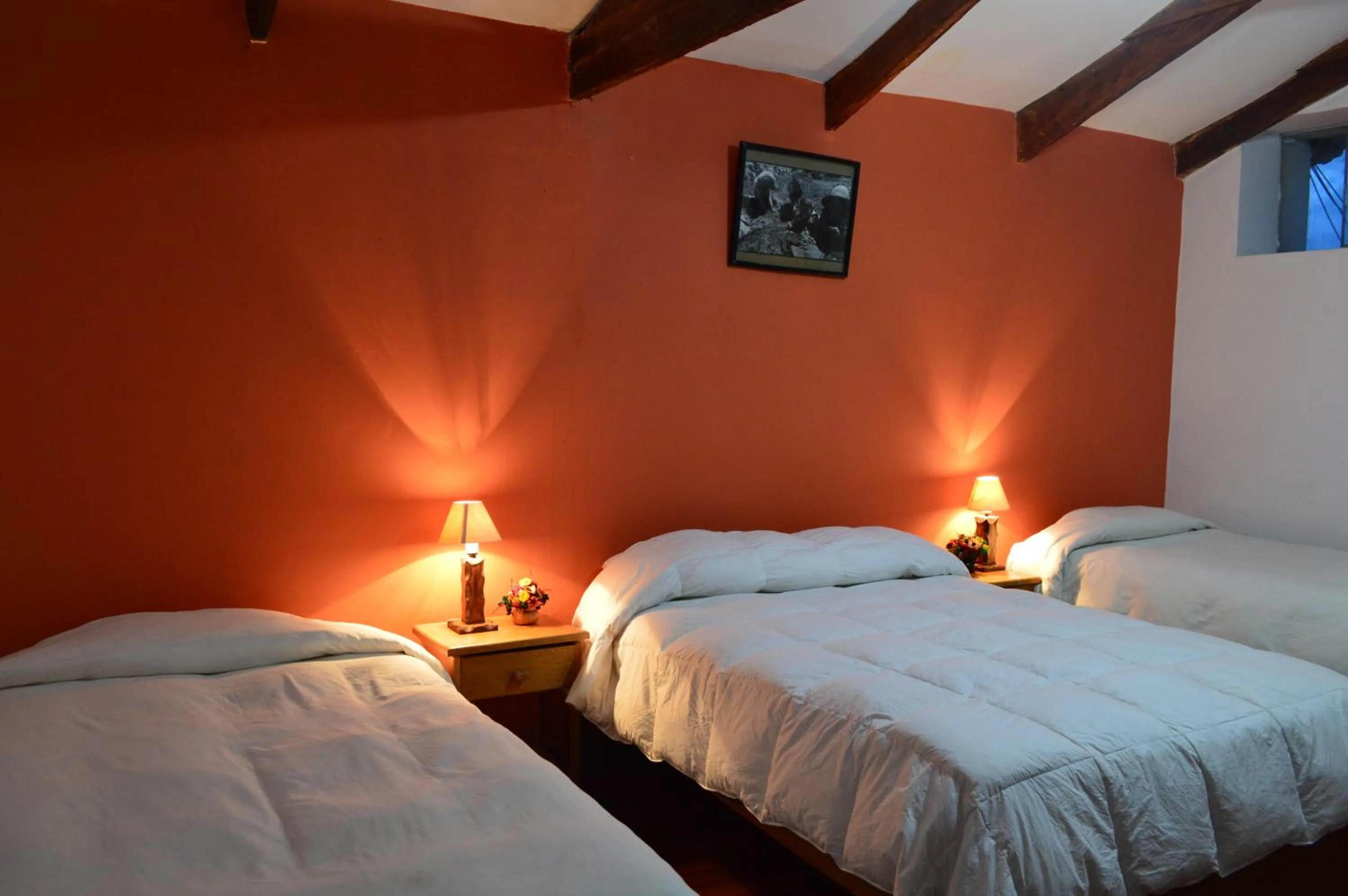 Bed in Hotel Casa Campesina
