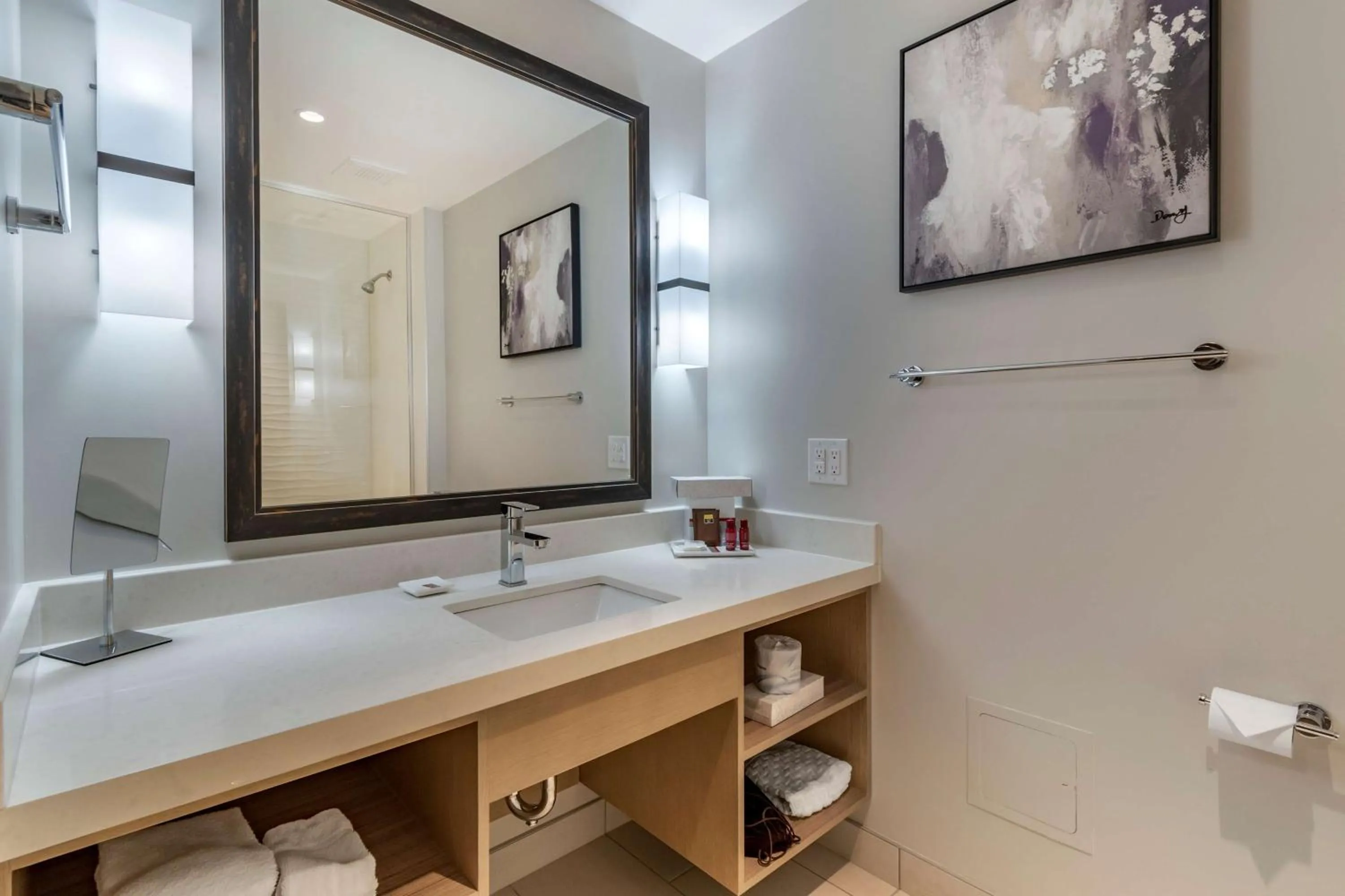 Bathroom in Best Western Premier Prince Albert