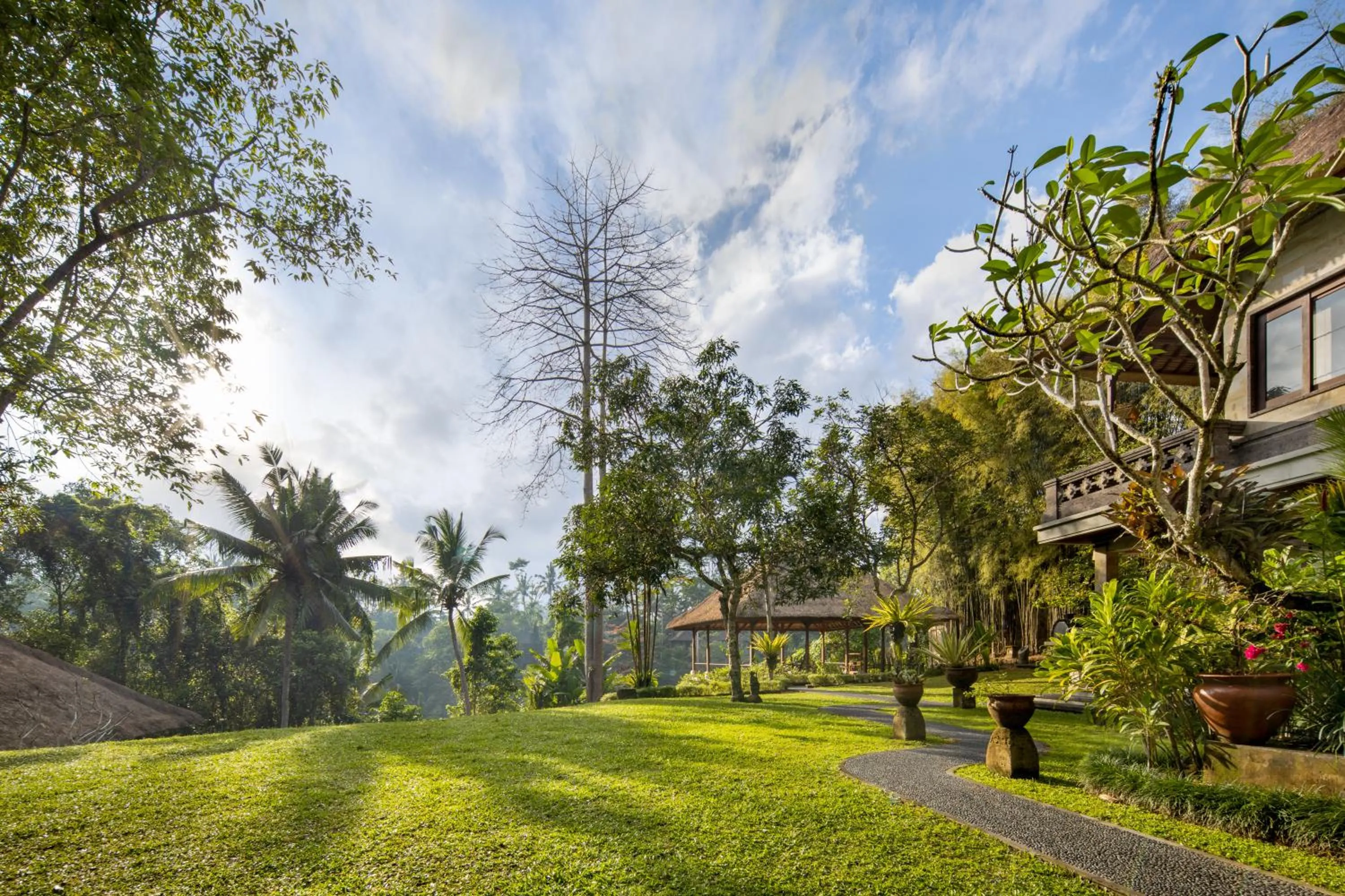 Natural landscape in The Allure Ubud Villas & Spa crafted by freshWater Asia