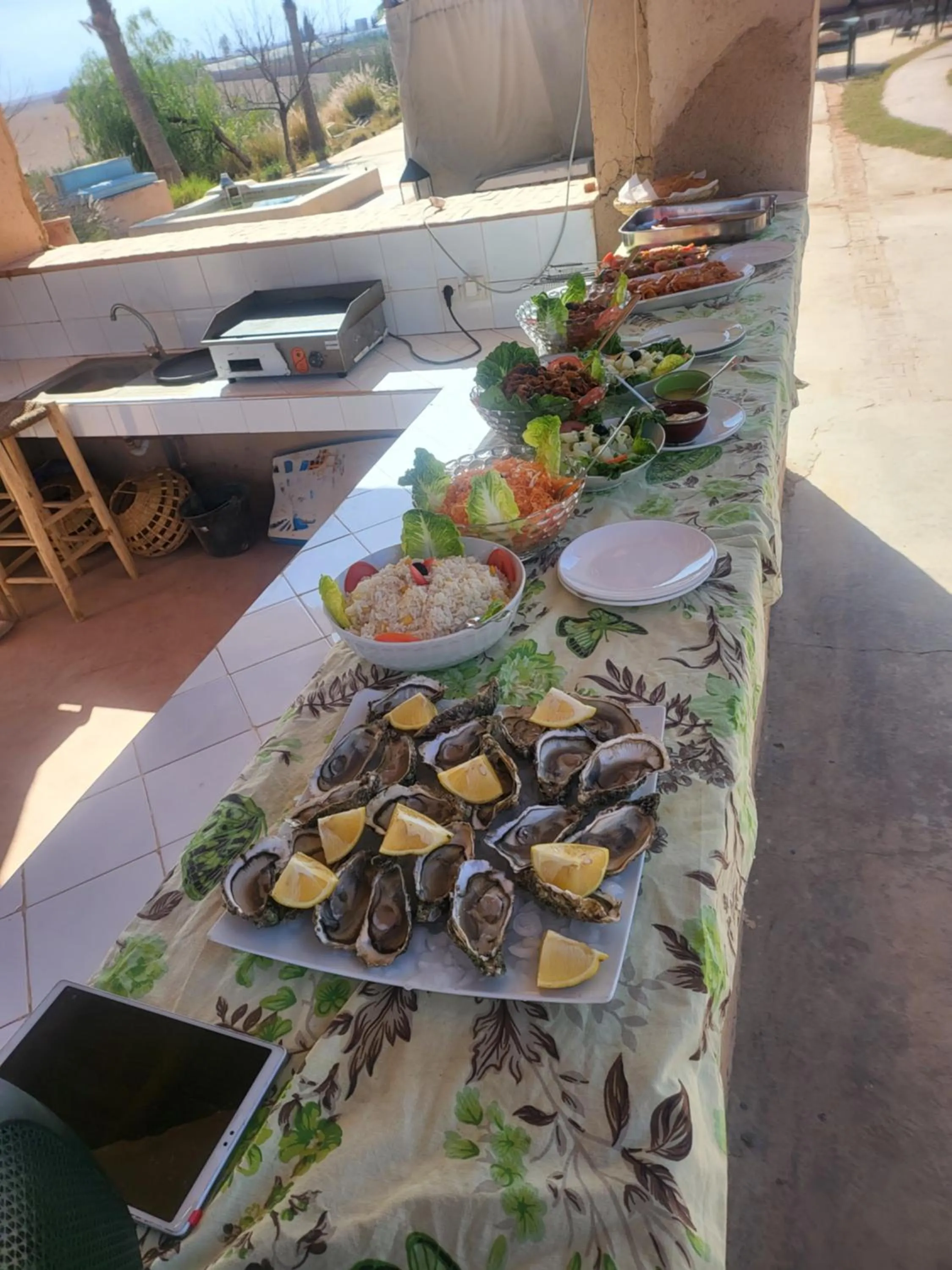 Les Jardins d Amizmiz 6 piscines