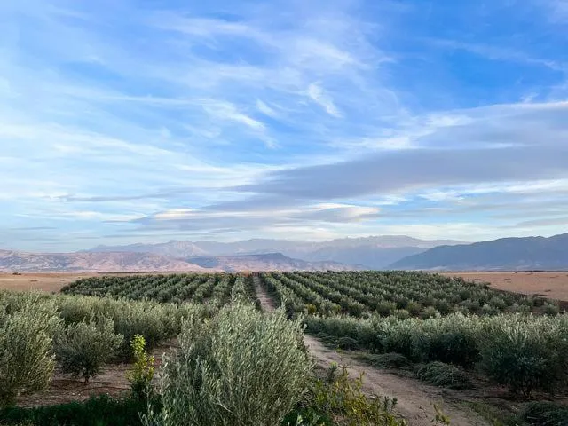 Les Jardins d Amizmiz 6 piscines