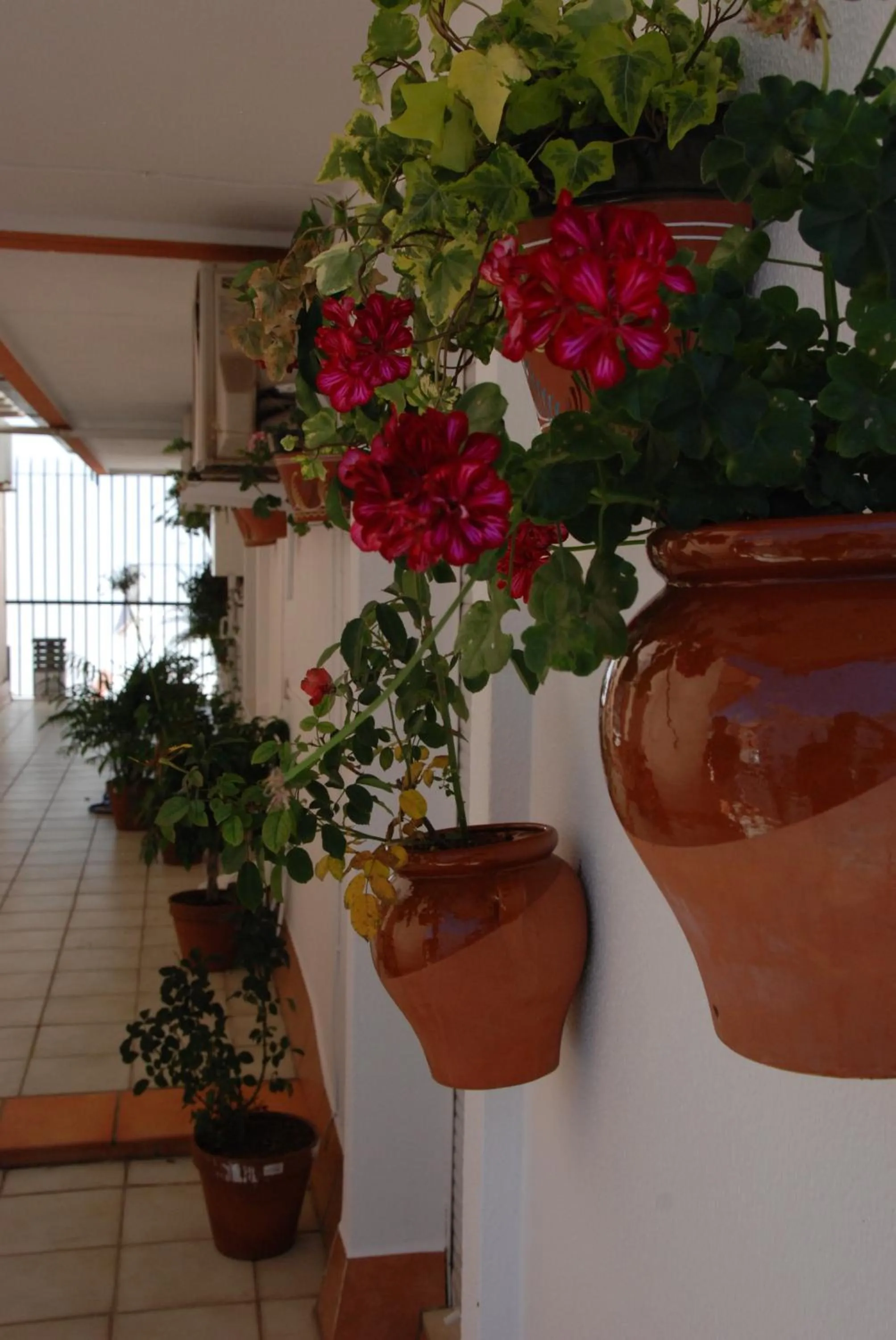 Area and facilities in Hostal Puerto Lepe