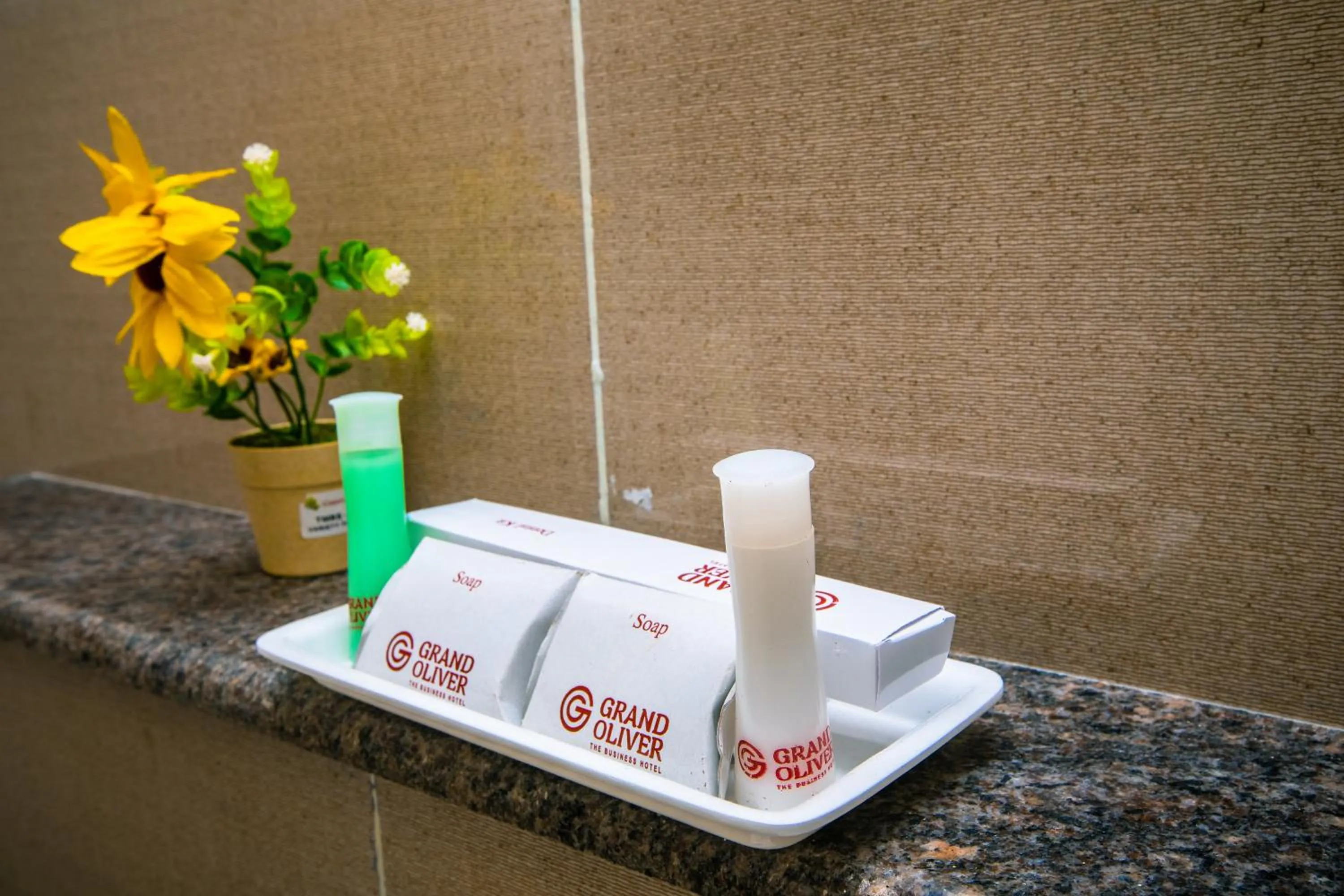 Bathroom in Grand Oliver