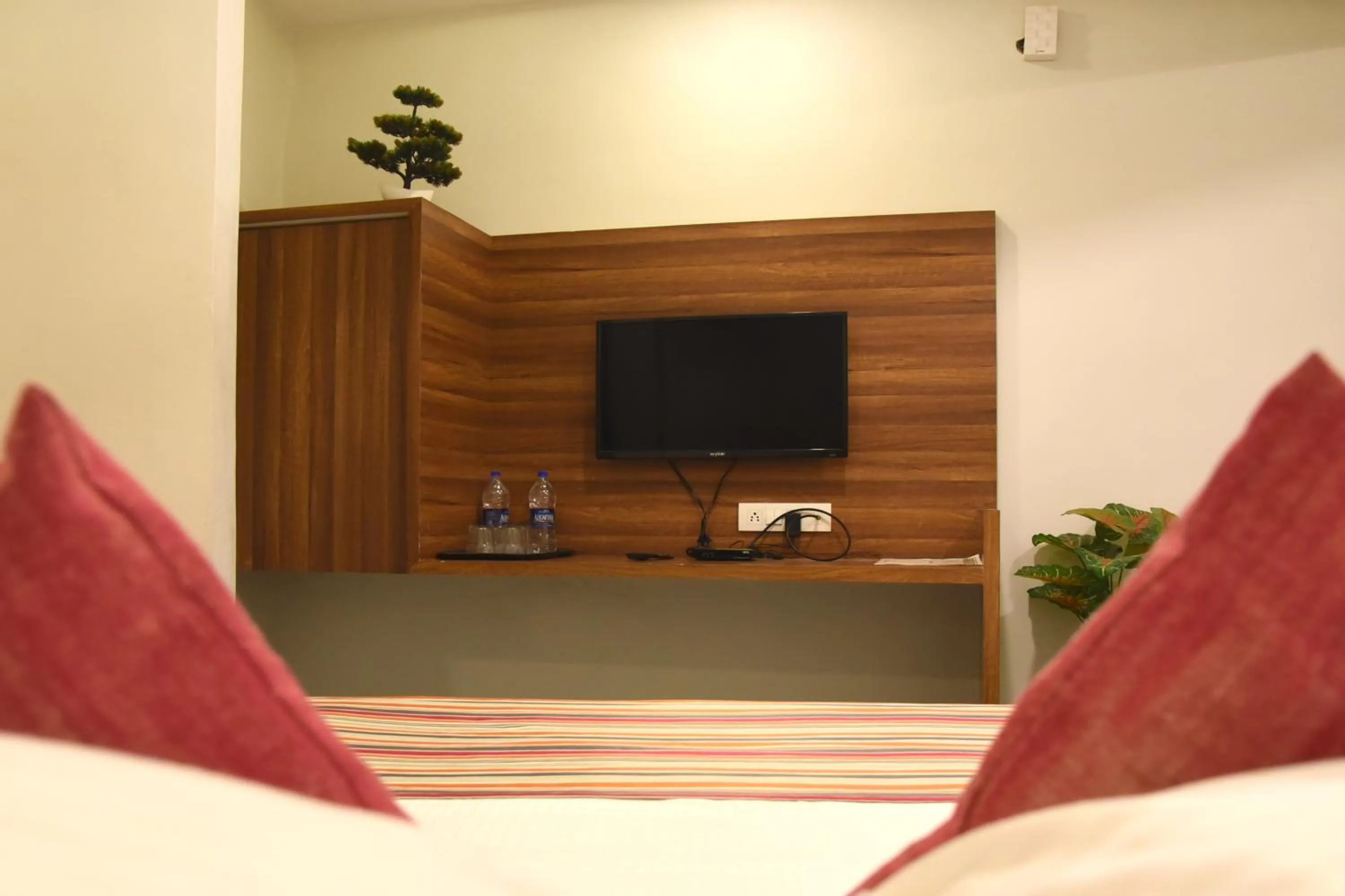 TV and multimedia in HOTEL RAJPATH INN