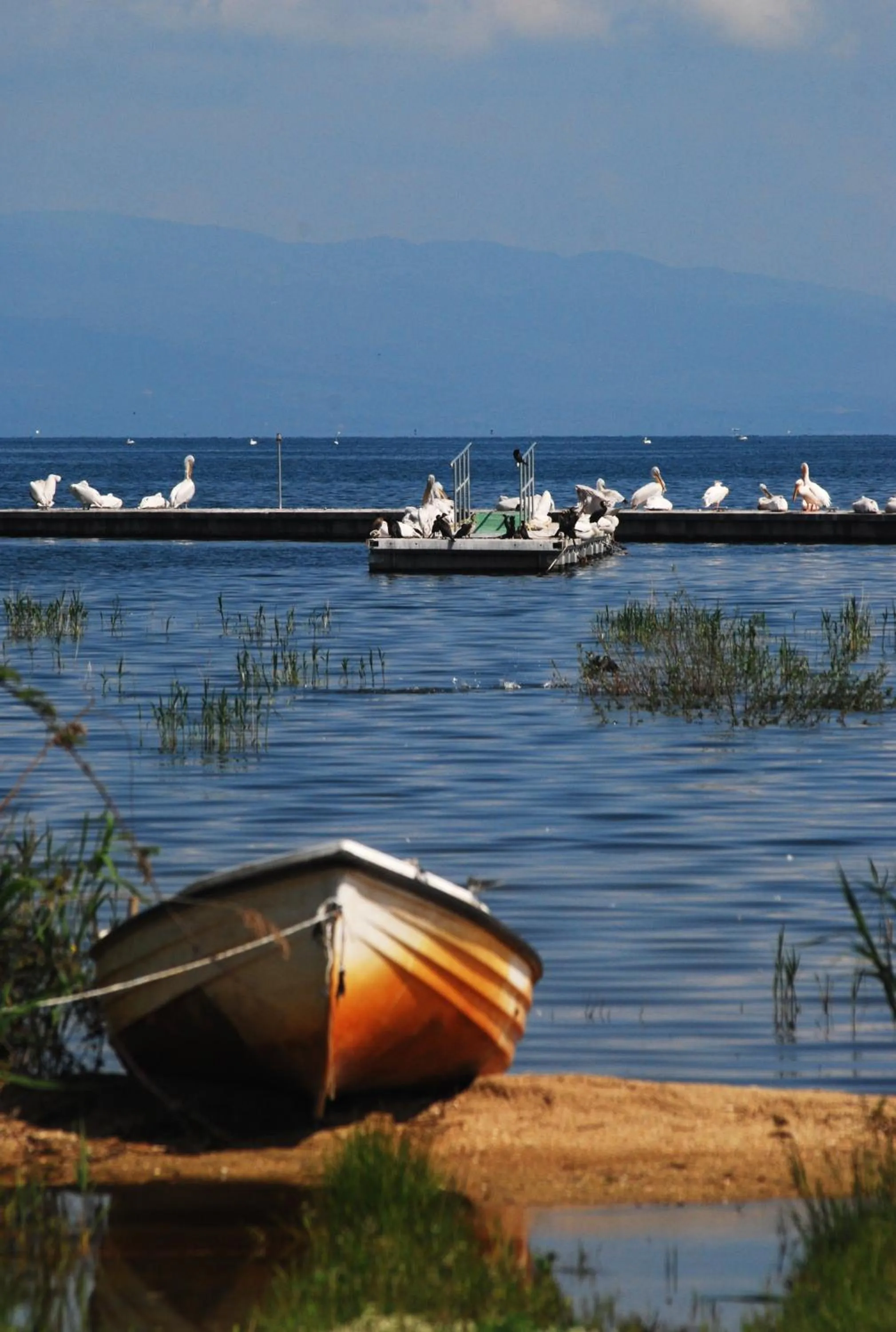 River view in Varnous Hotel