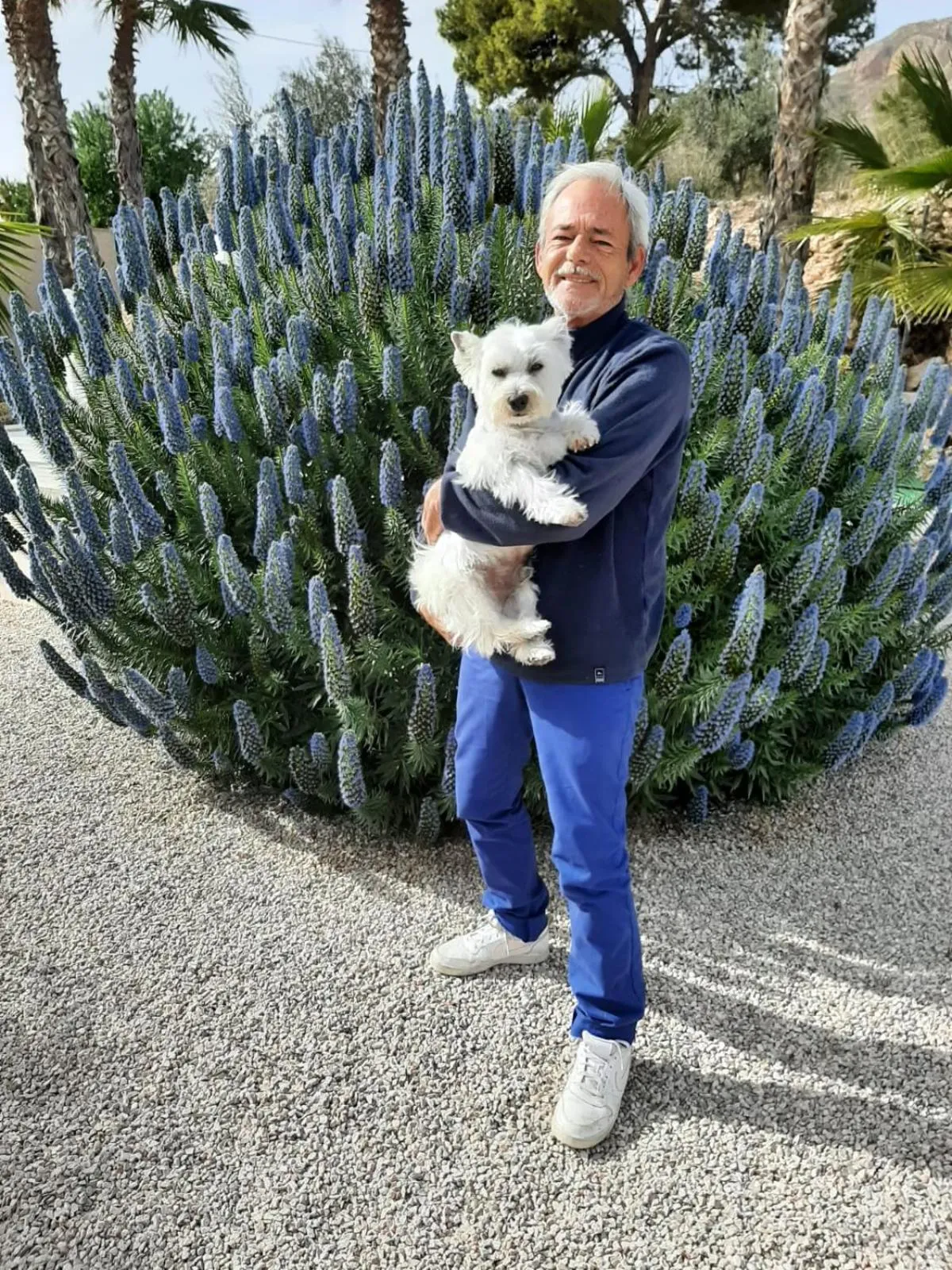 Pets in La Dolce Vita