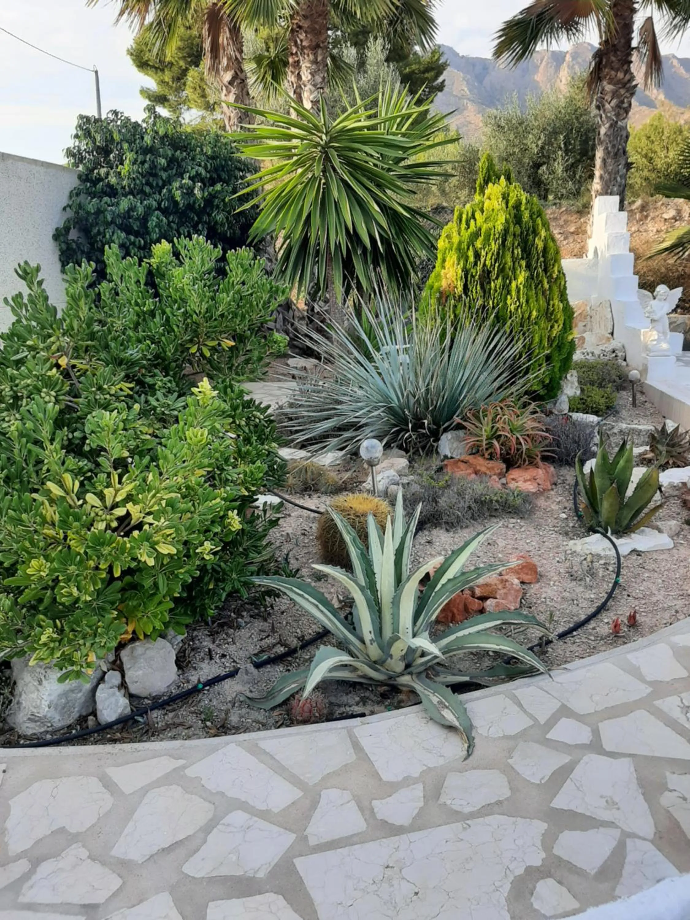 Garden view in La Dolce Vita