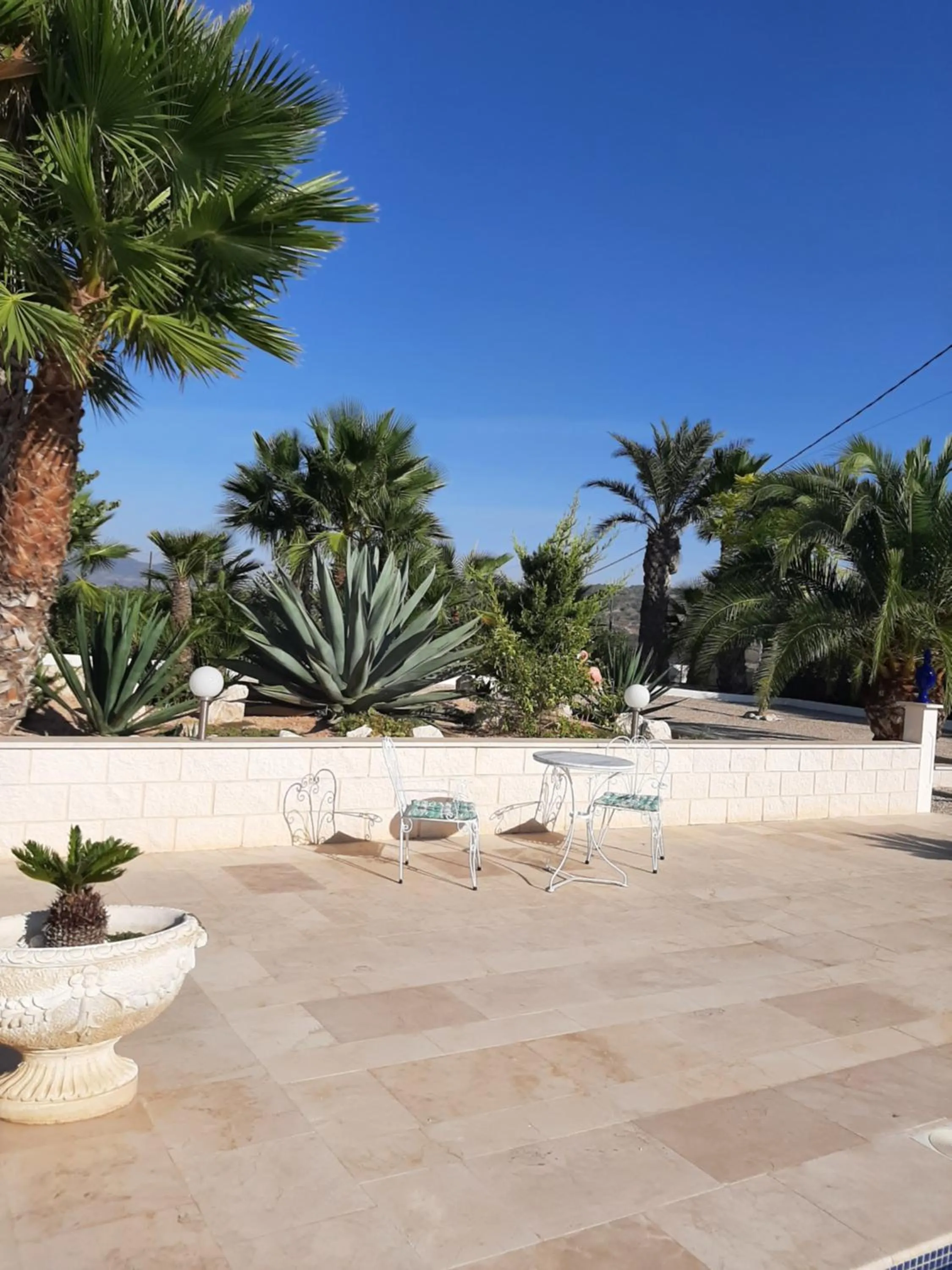 Garden in La Dolce Vita