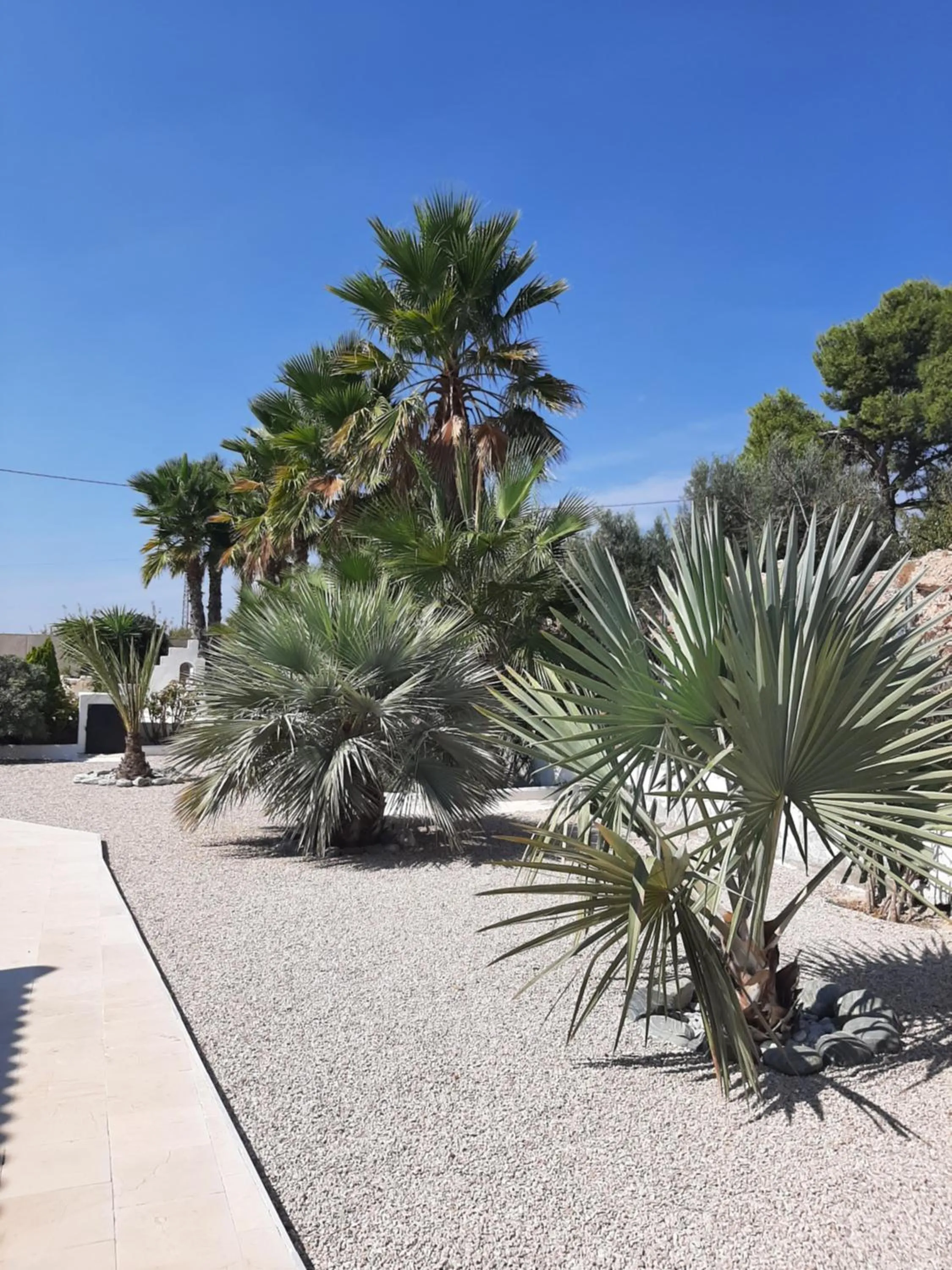 Garden view in La Dolce Vita