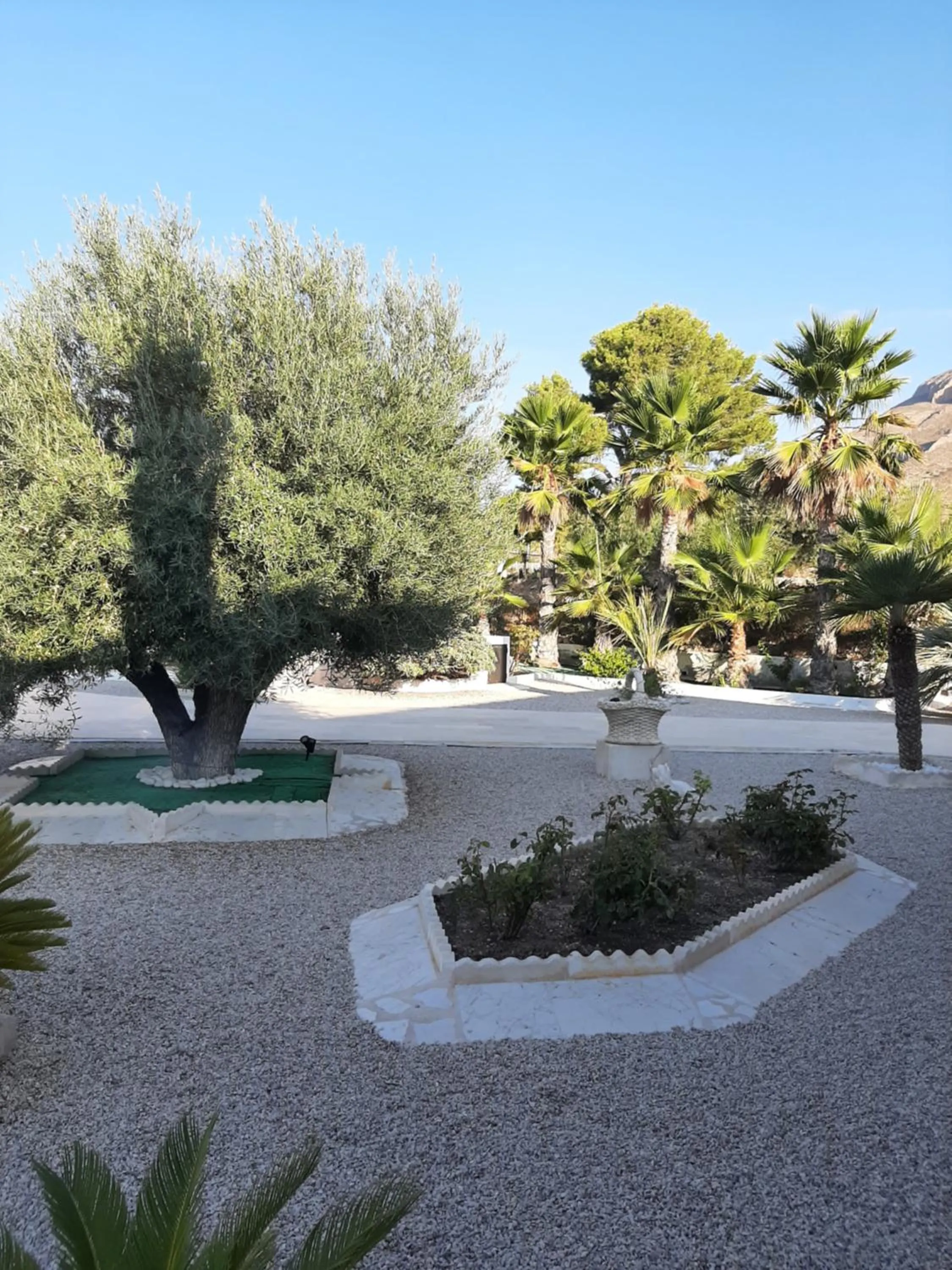 Garden view in La Dolce Vita