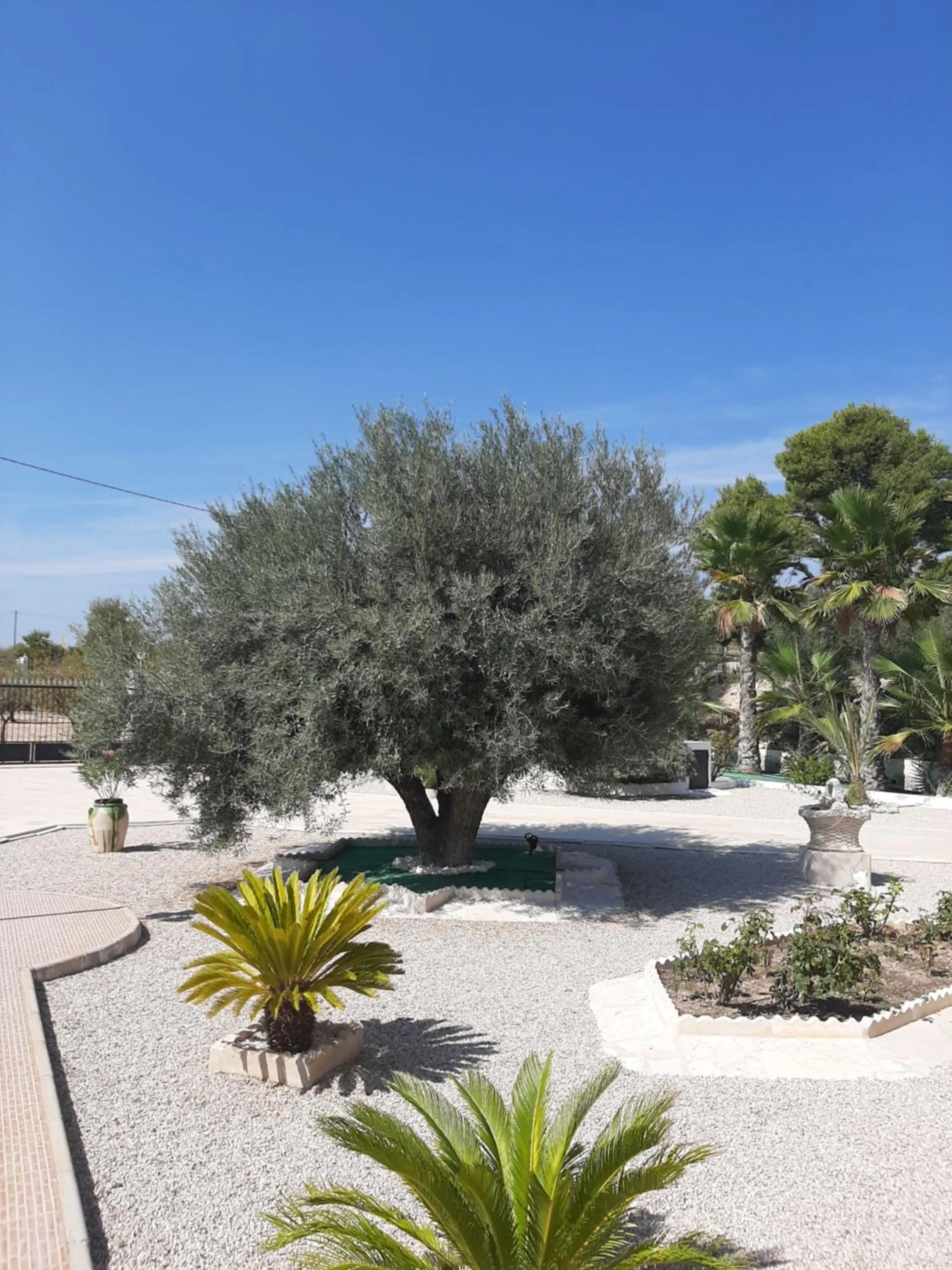 Garden view in La Dolce Vita