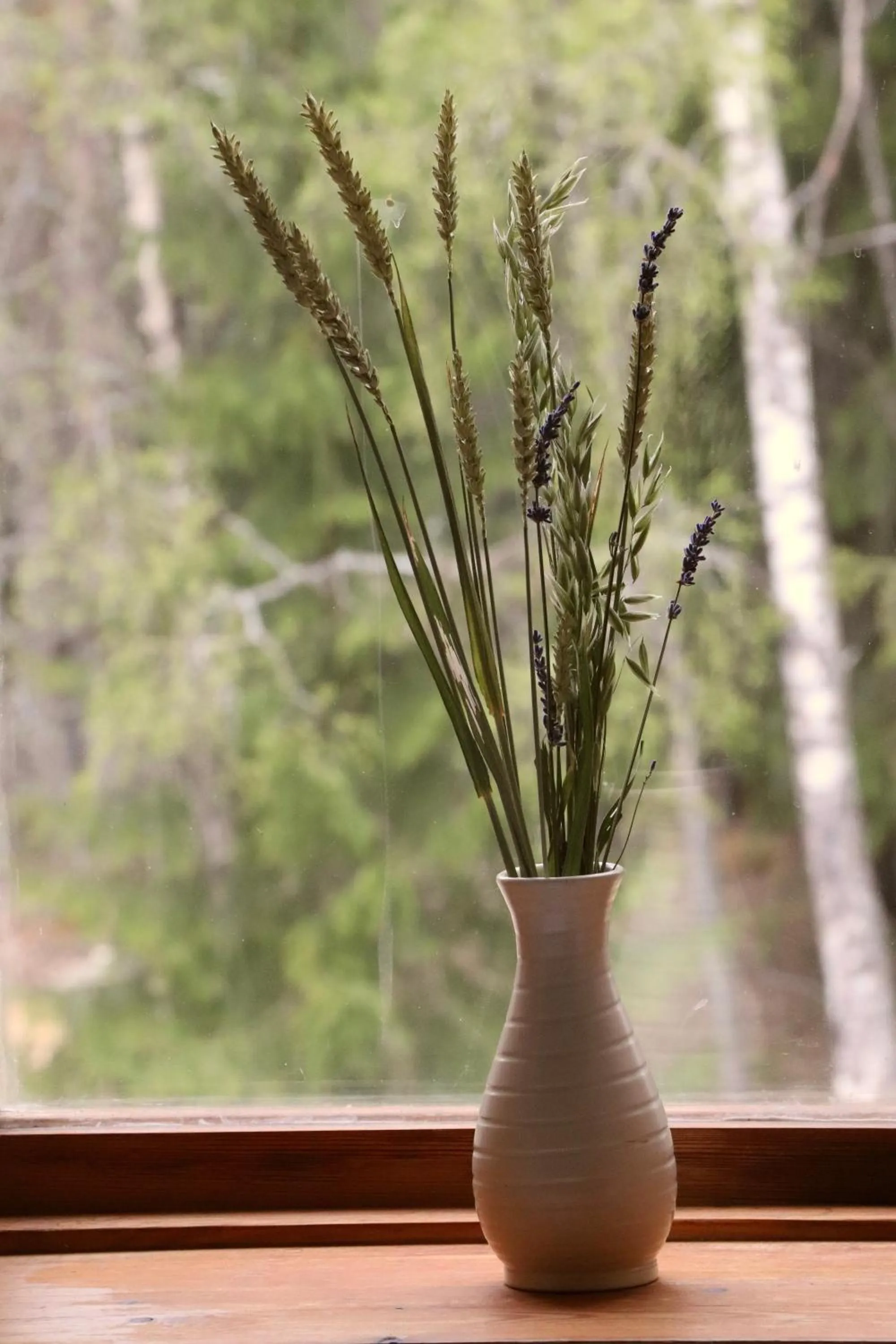 Garden view in Turistgården Särna
