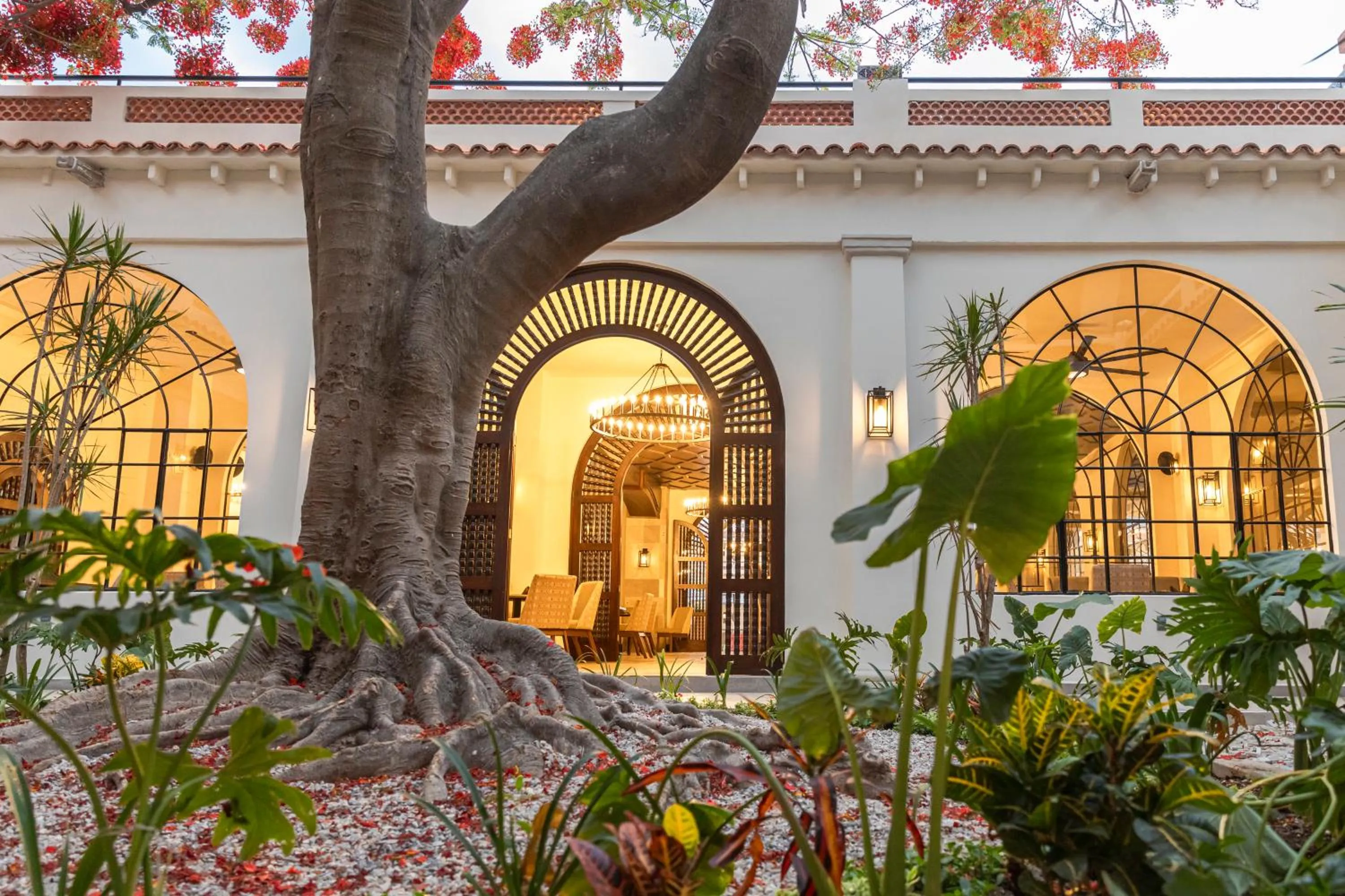 Garden in Gran Hotel Mexico by Solaris