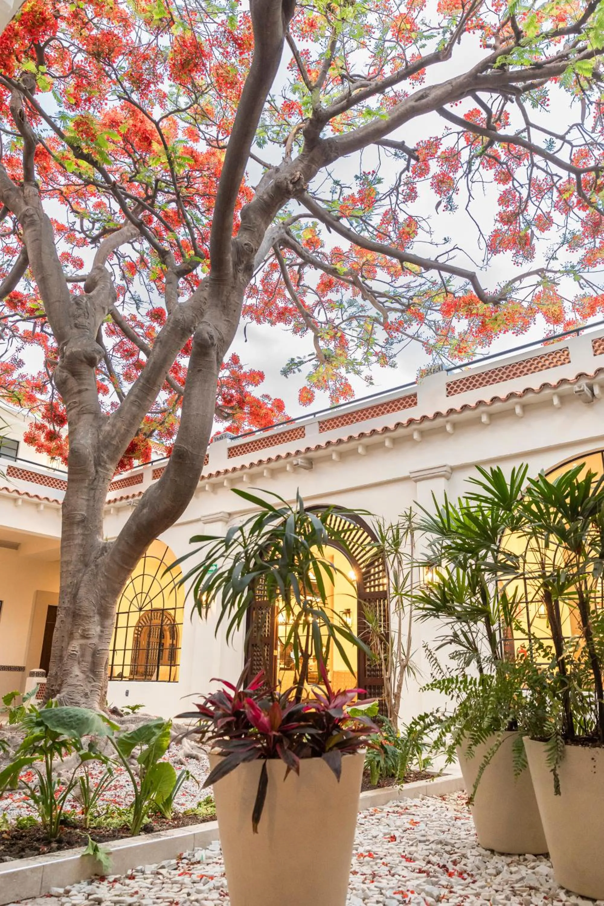 Garden in Gran Hotel Mexico by Solaris