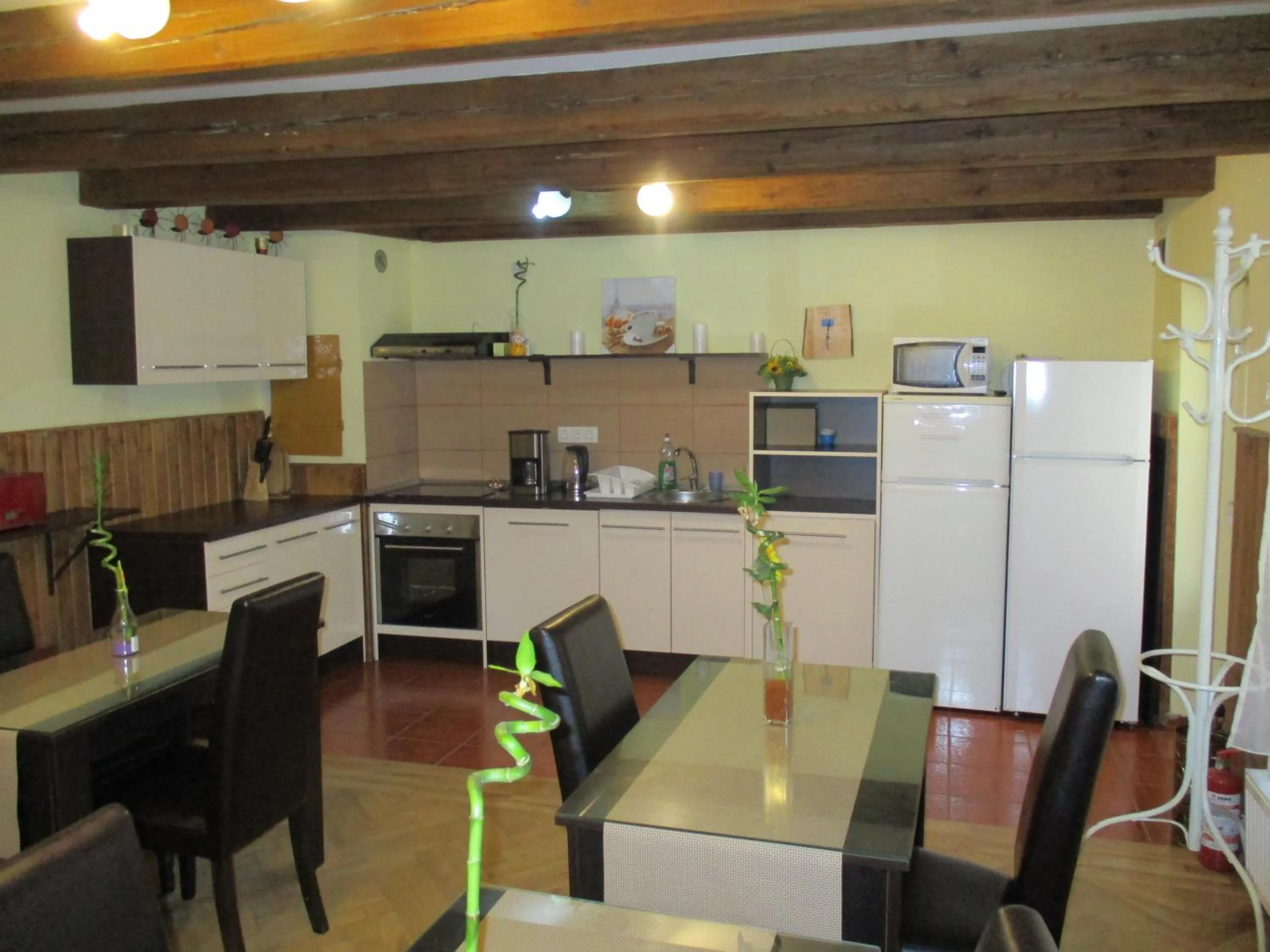 Communal kitchen in Casa Soare check-in independent