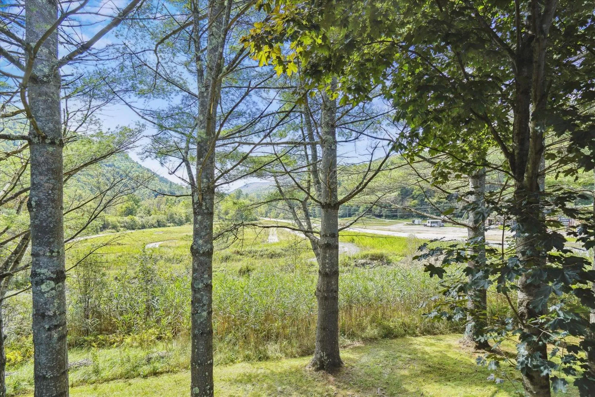 Natural landscape in Cedarbrook Queen Suite 103