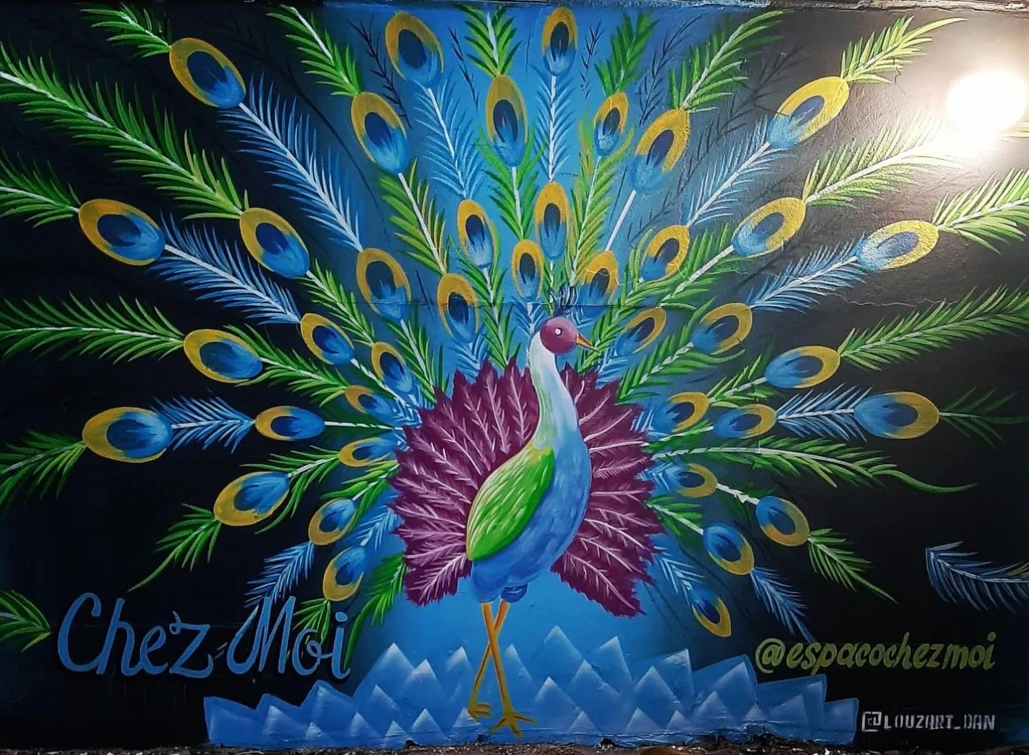 Animals in Pousada Chez Moi