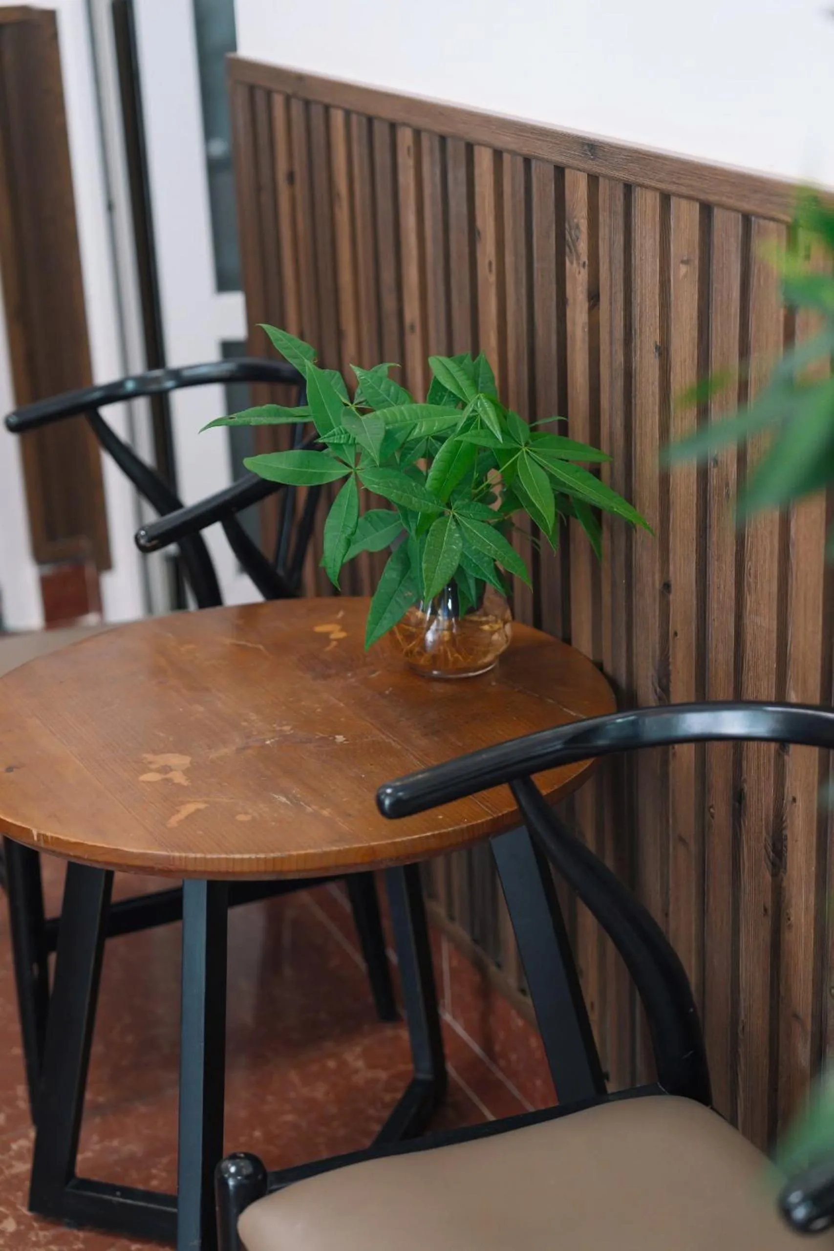 Property building in Cherry House Đà Lạt