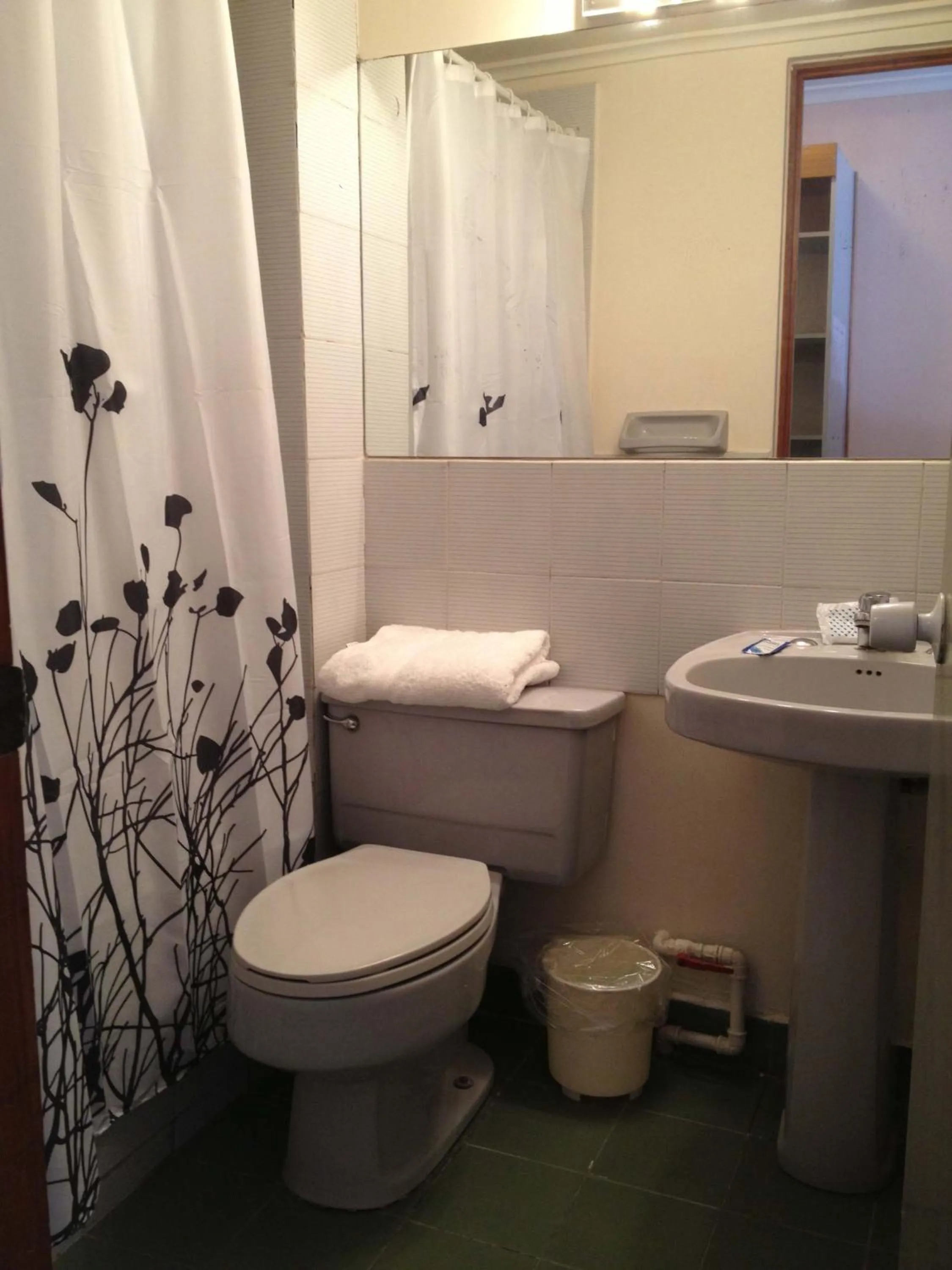 Bathroom in Hotel San Francisco De la Selva