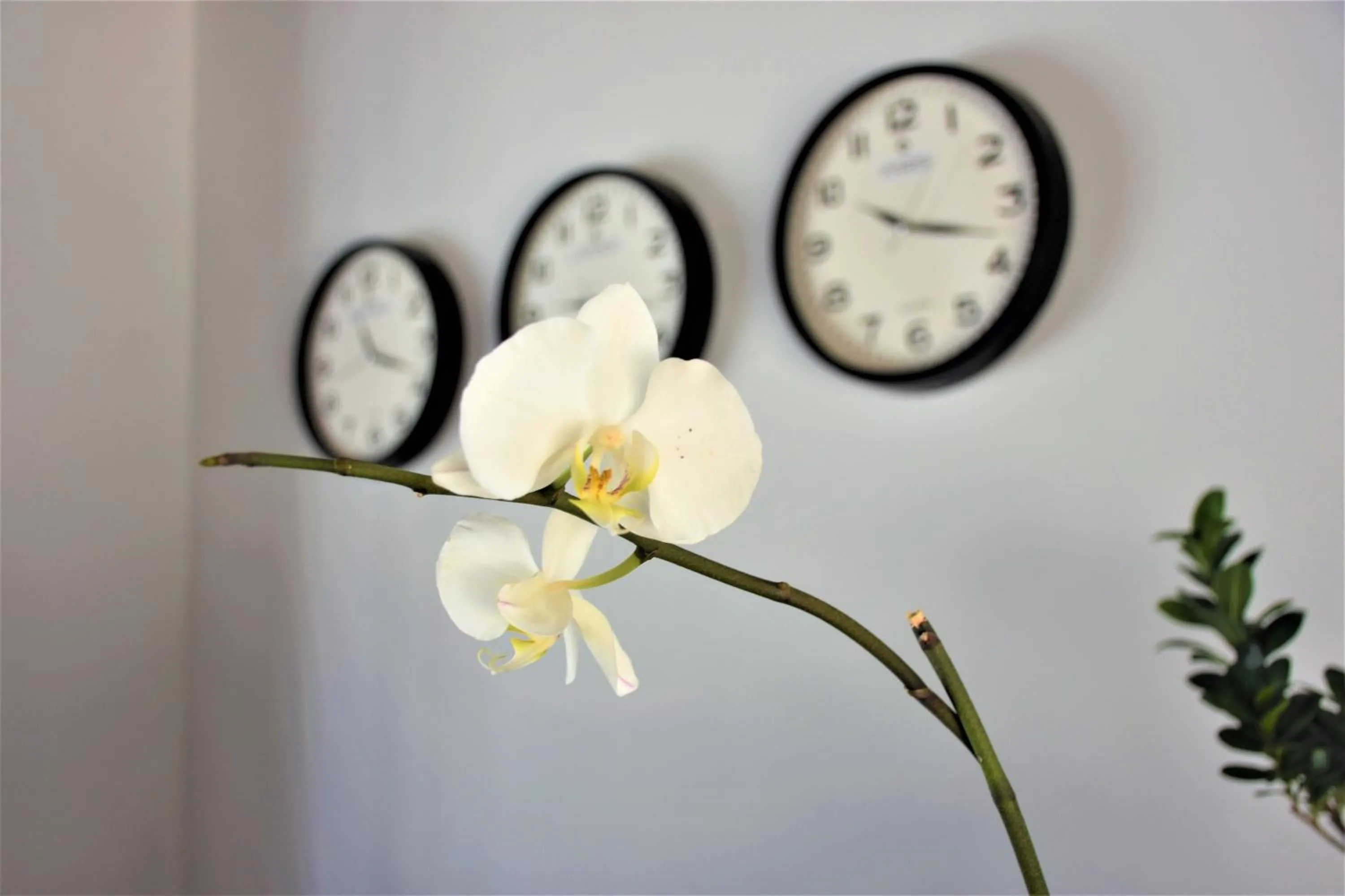 Property building in Modern Life Hotel Bodrum