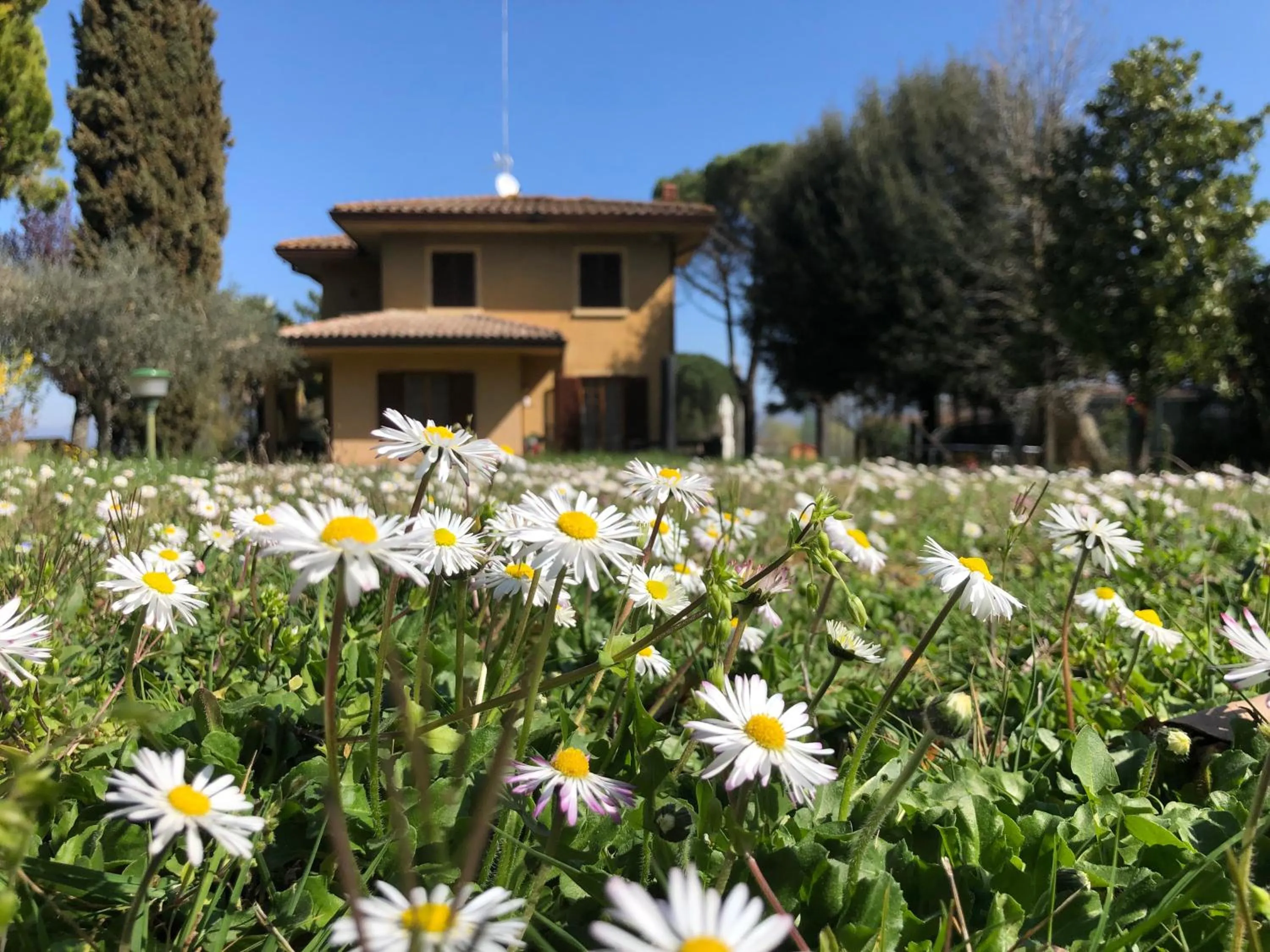 Property building in Jenny's Country Dreamhouse