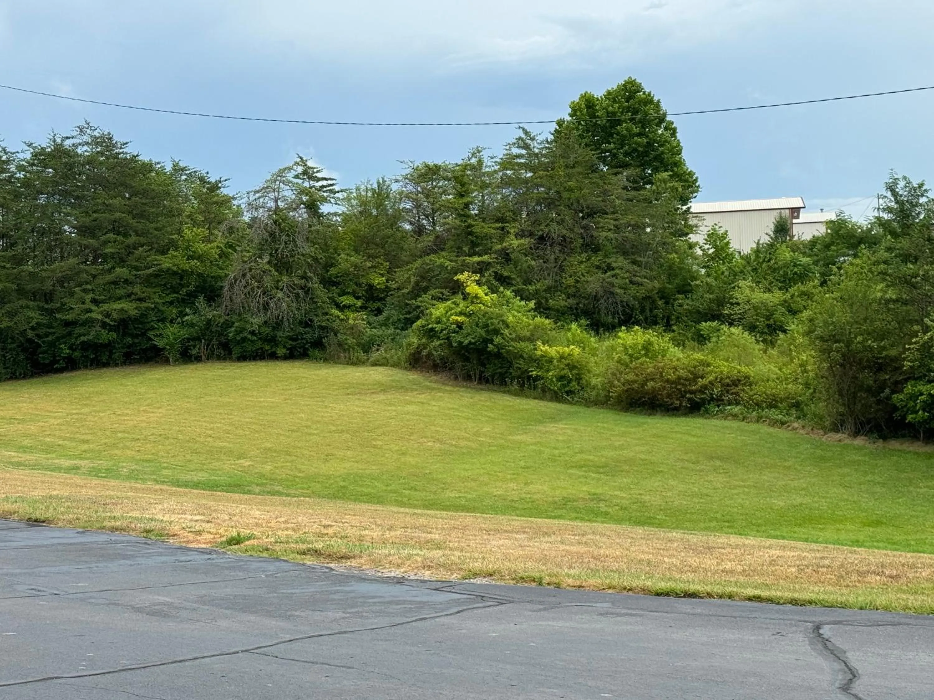 Natural landscape in Economy Inn