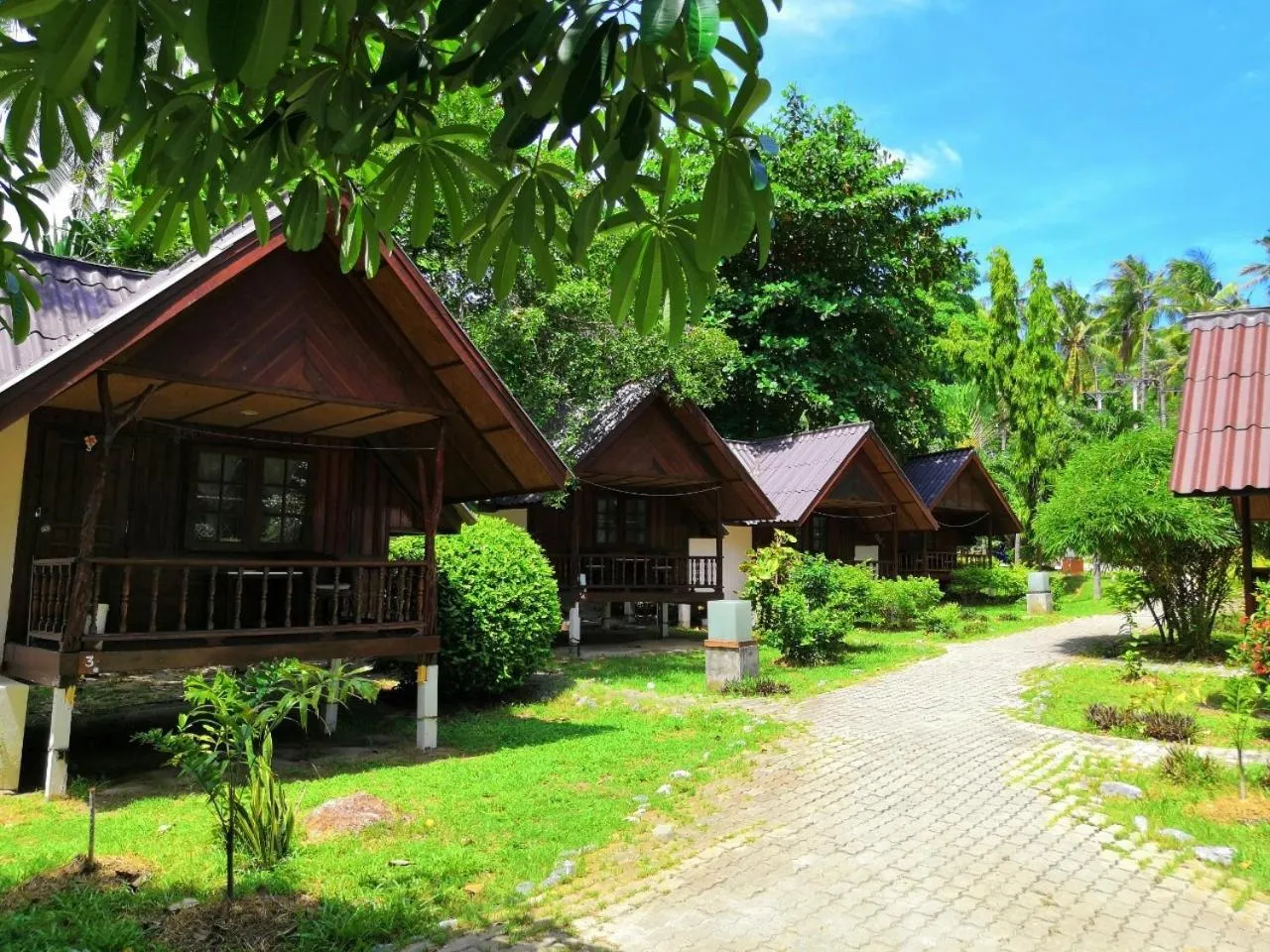 Garden in Seashell Coconut Village Koh Tao