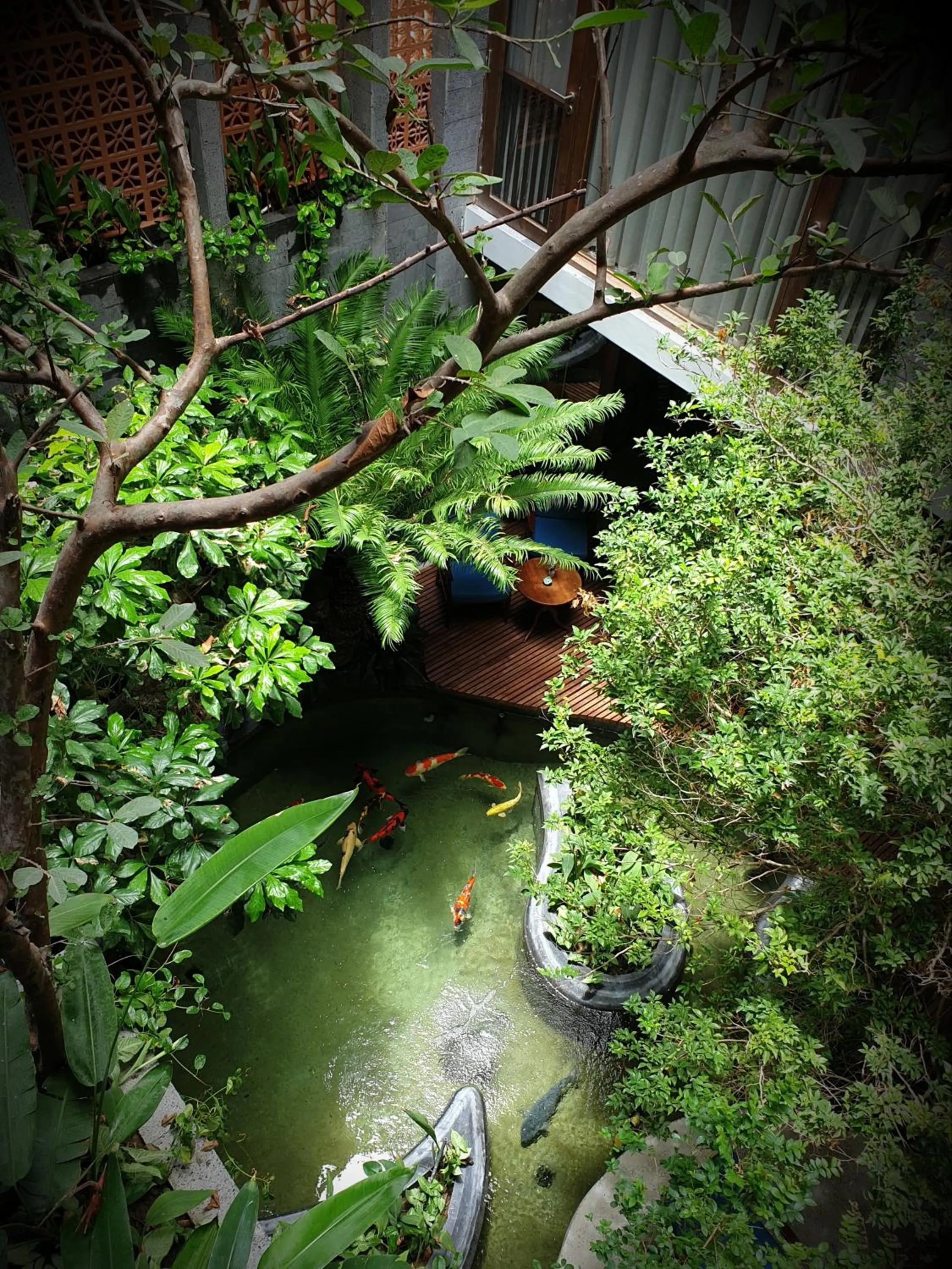 Garden in Minh Boutique