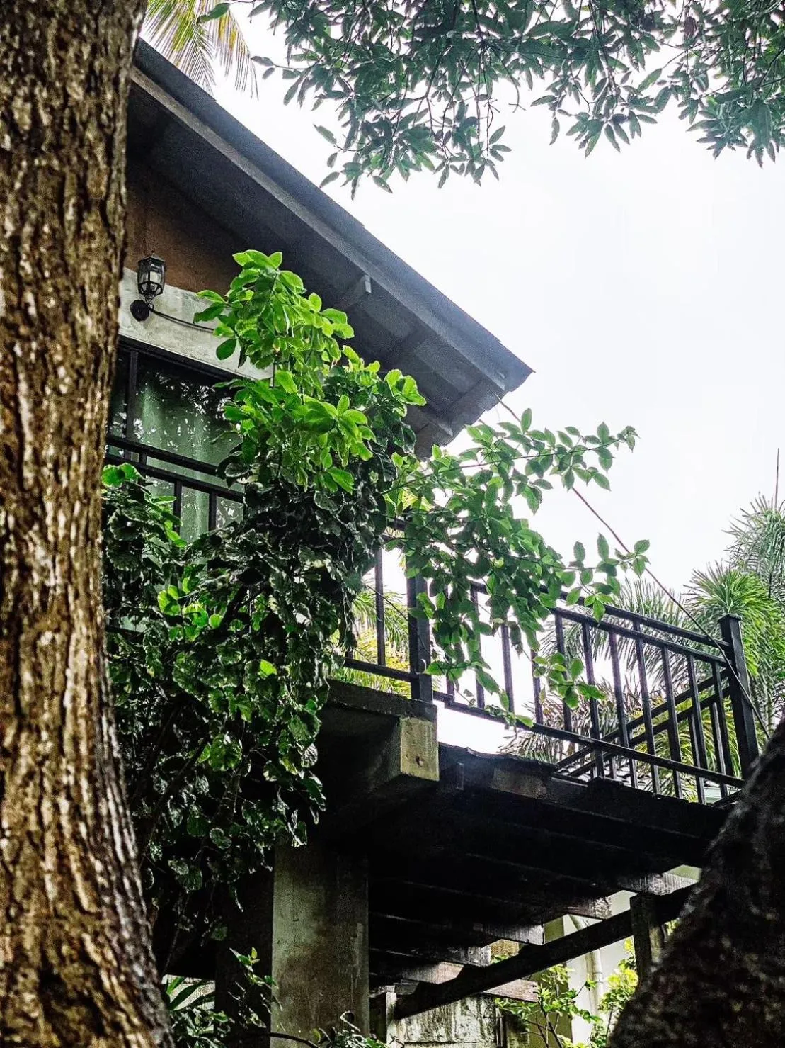 Property building in P.D. Beach Resort