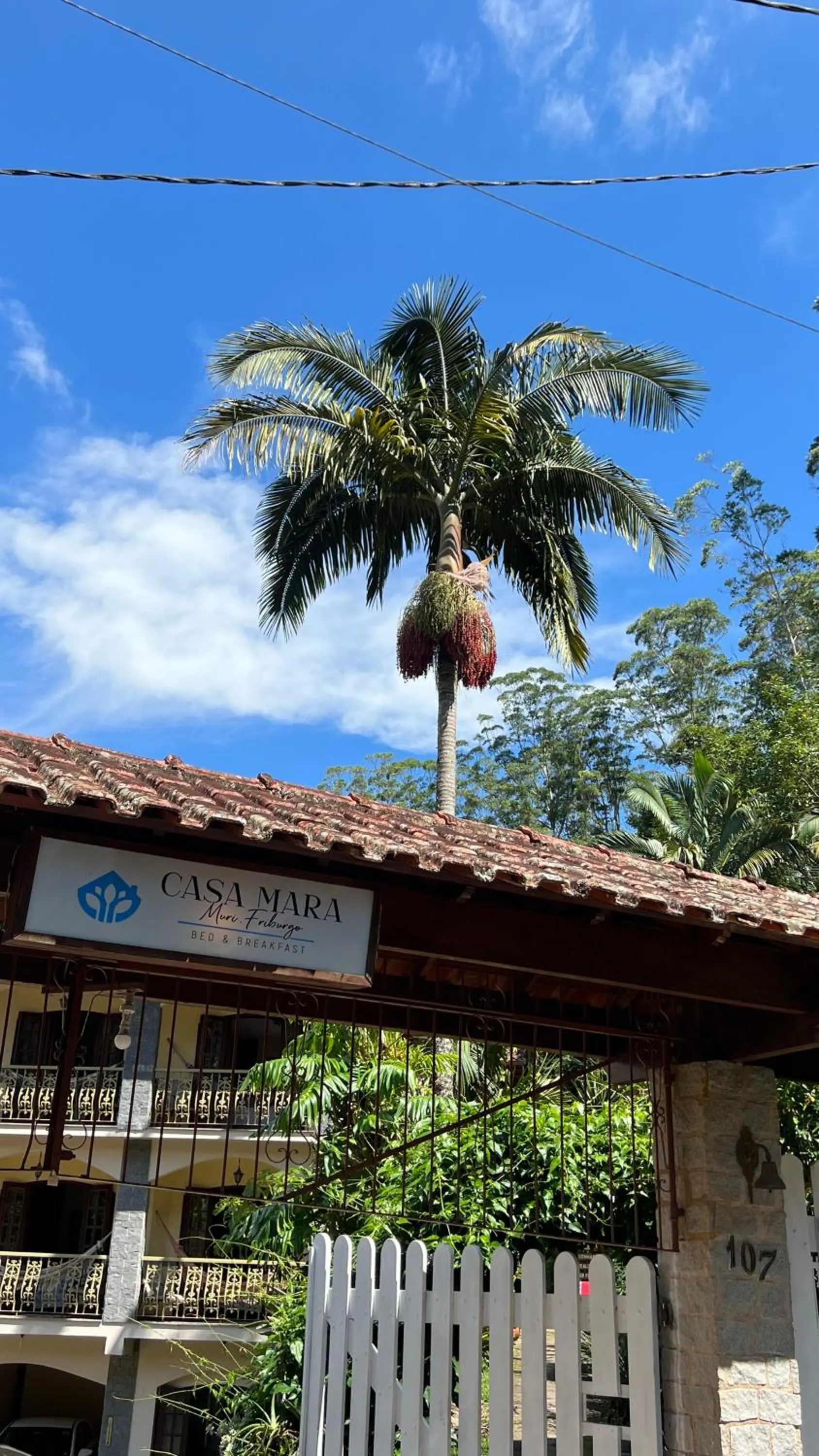 Property building in Casa Mara