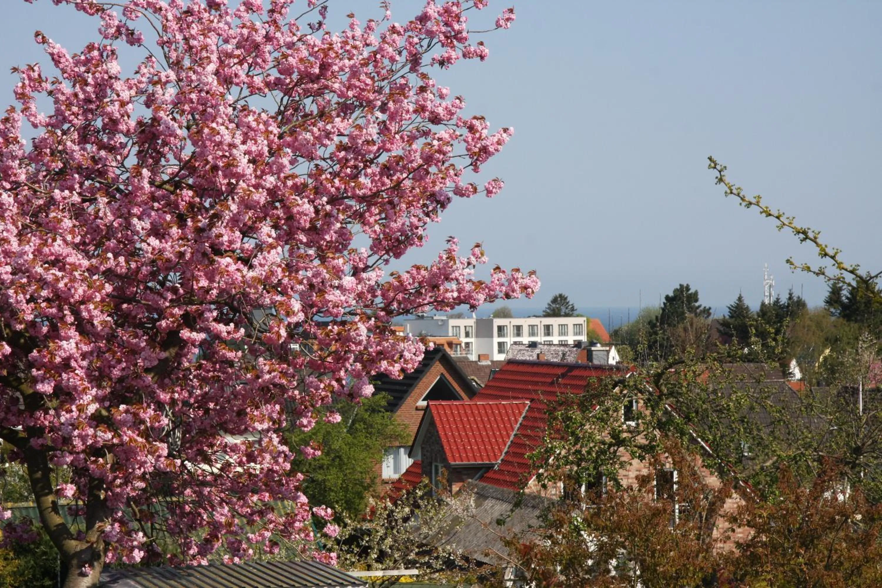 Spring in Ferienwohnung Nordlicht Laboe