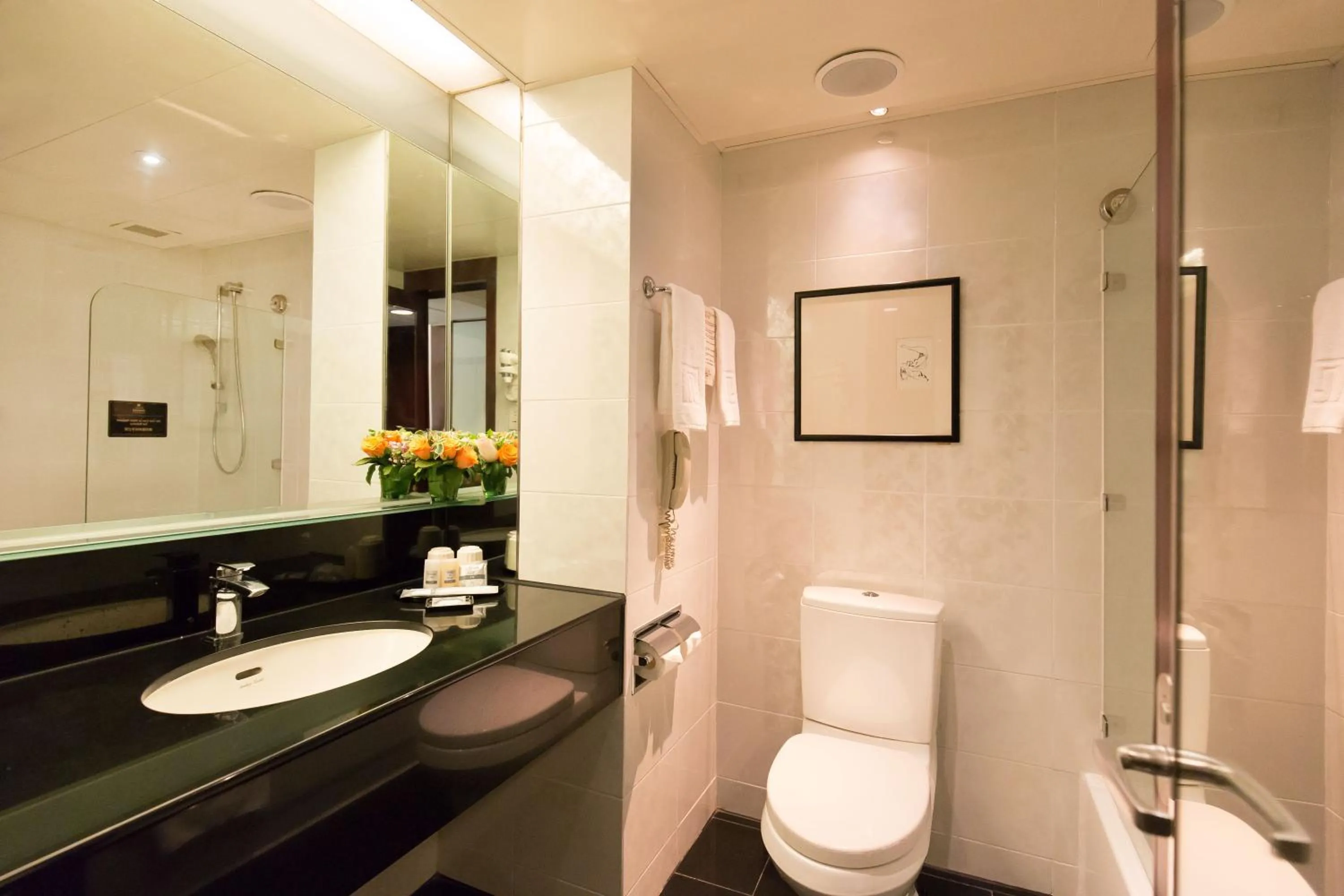 Toilet in Regal Airport Hotel