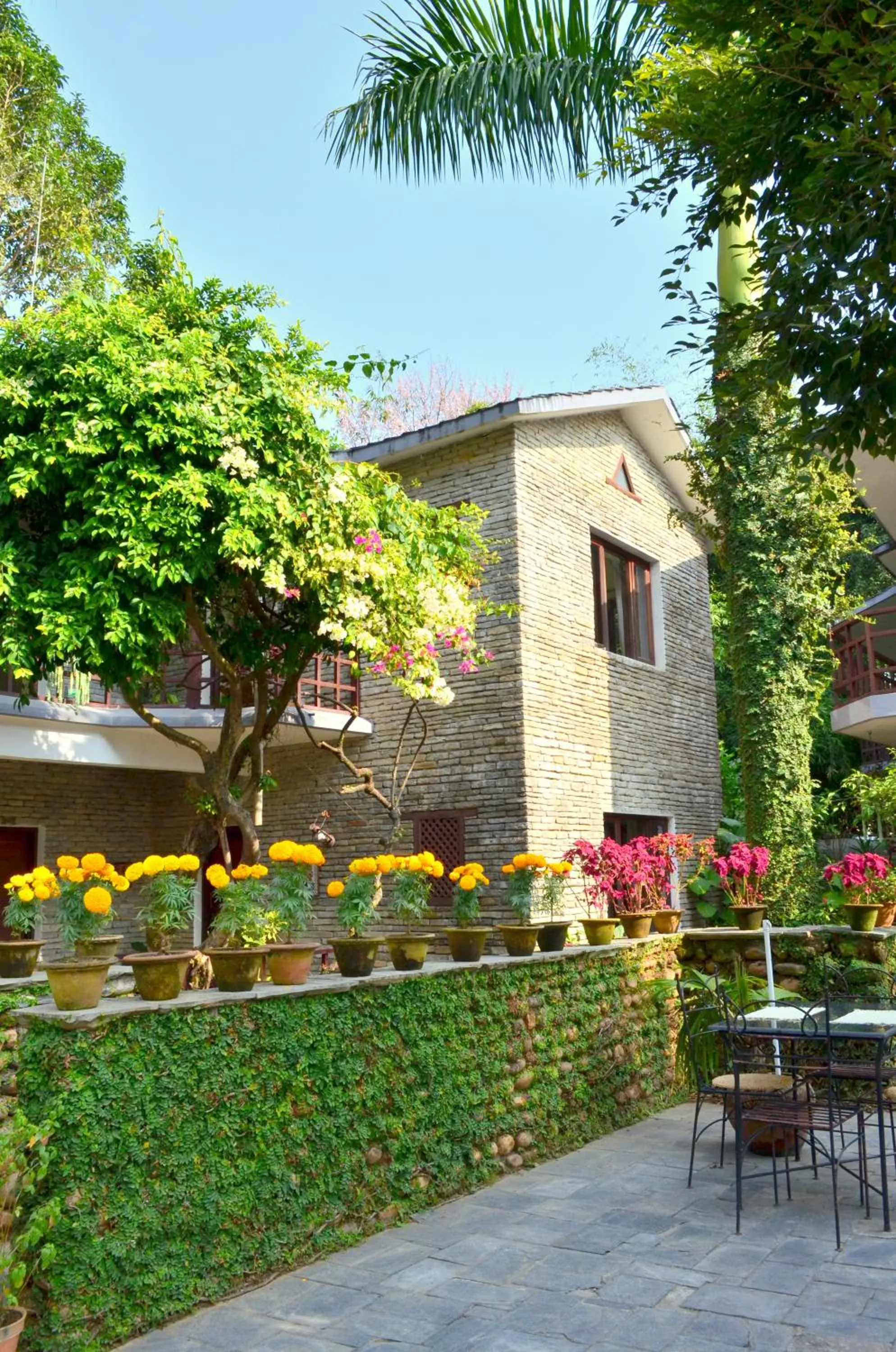 Bird's eye view in Mum's Garden Resort