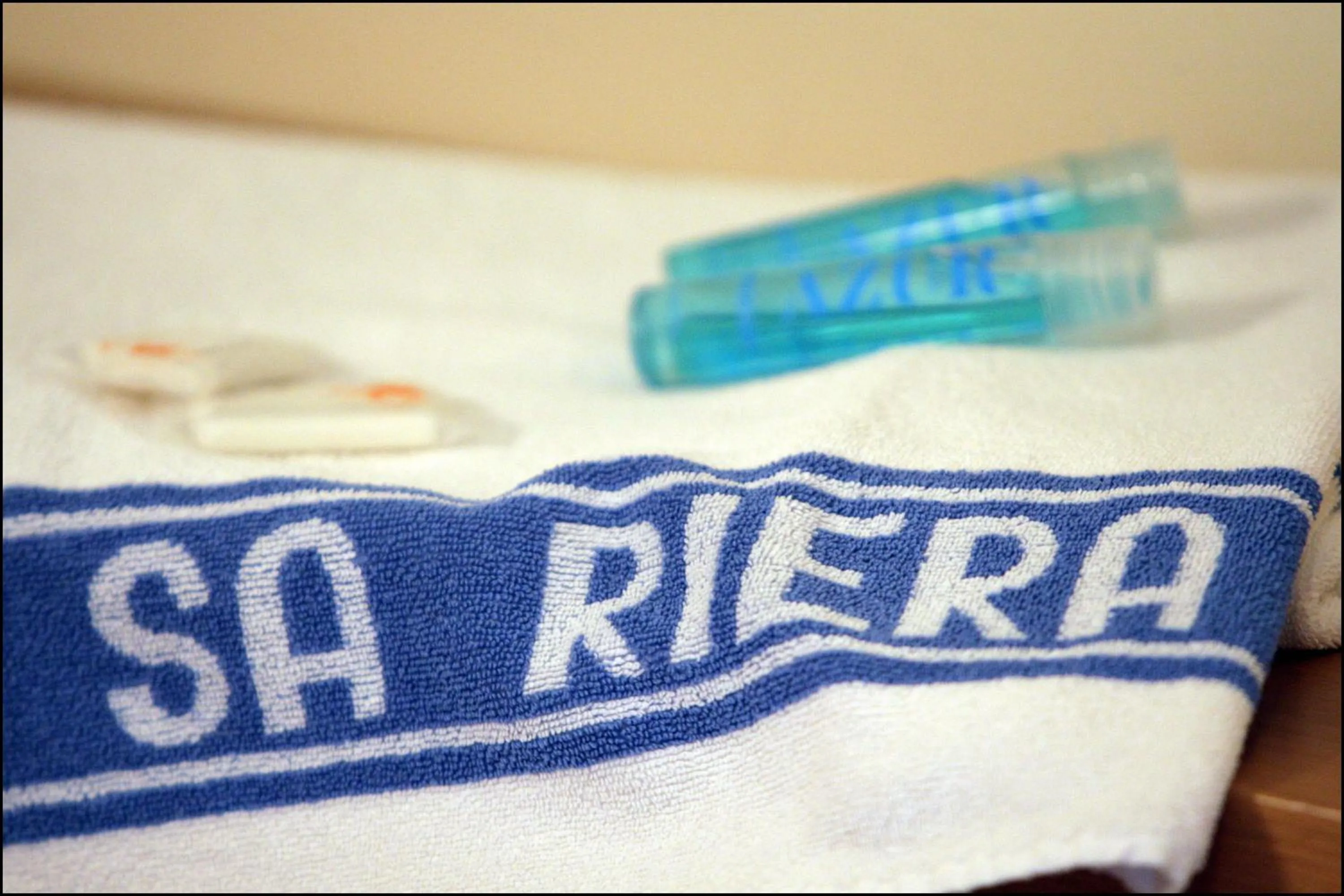 Decorative detail in Hotel Sa Riera