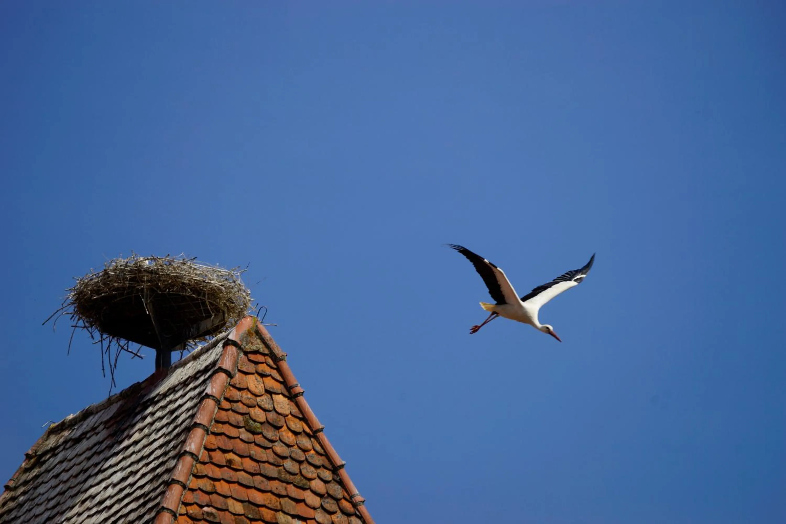 Gästehaus Alter Keller