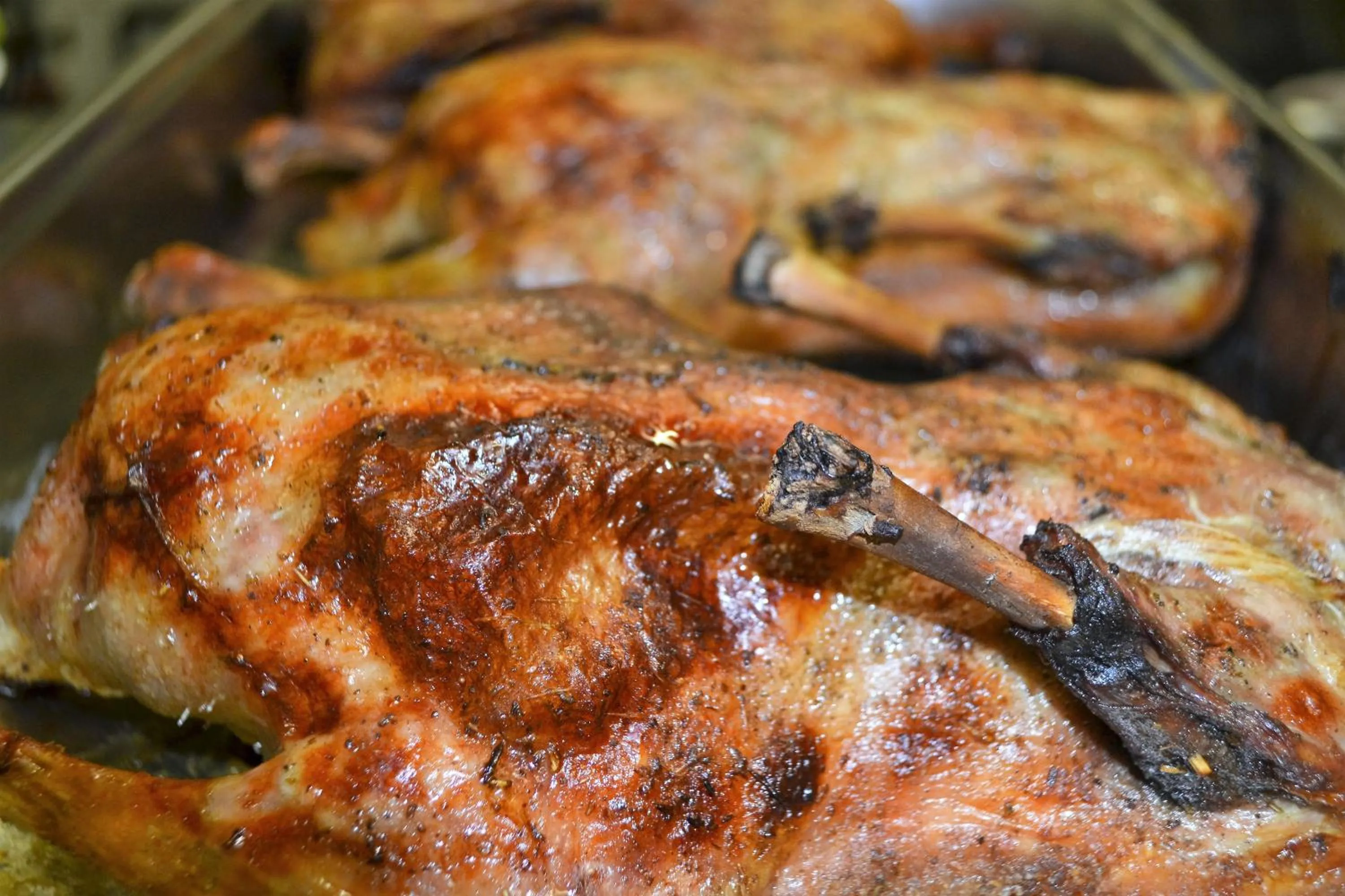 Restaurant/places to eat in Gästehaus Alter Keller