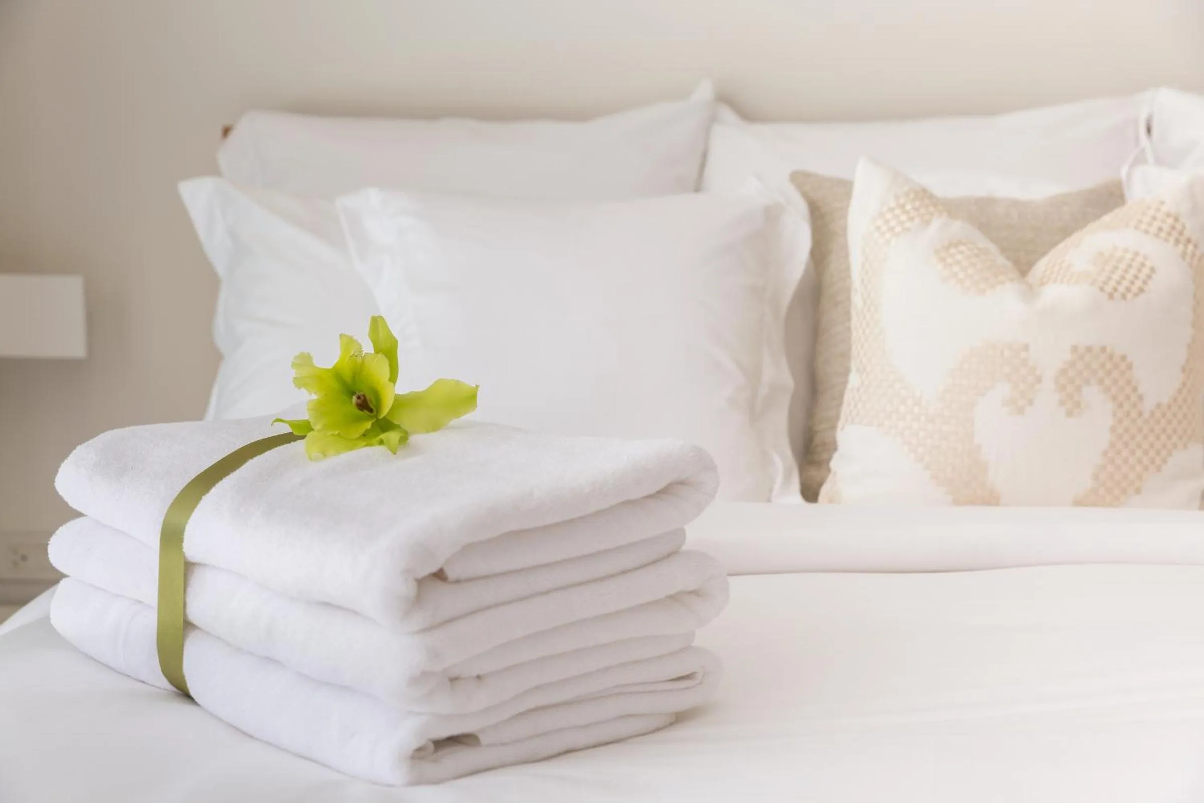 Bed in Chi - The Residence