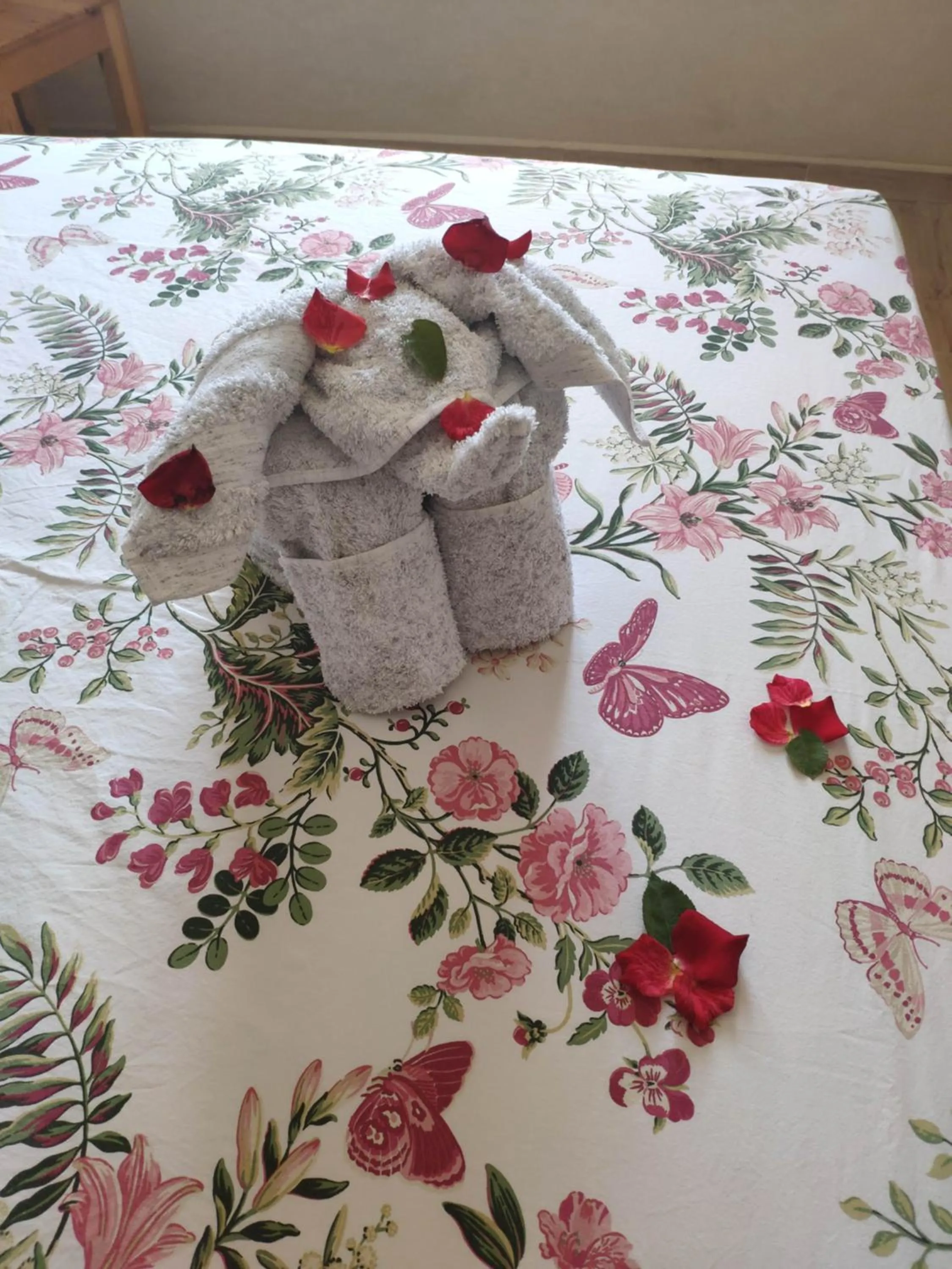 Les Jardins d Amizmiz