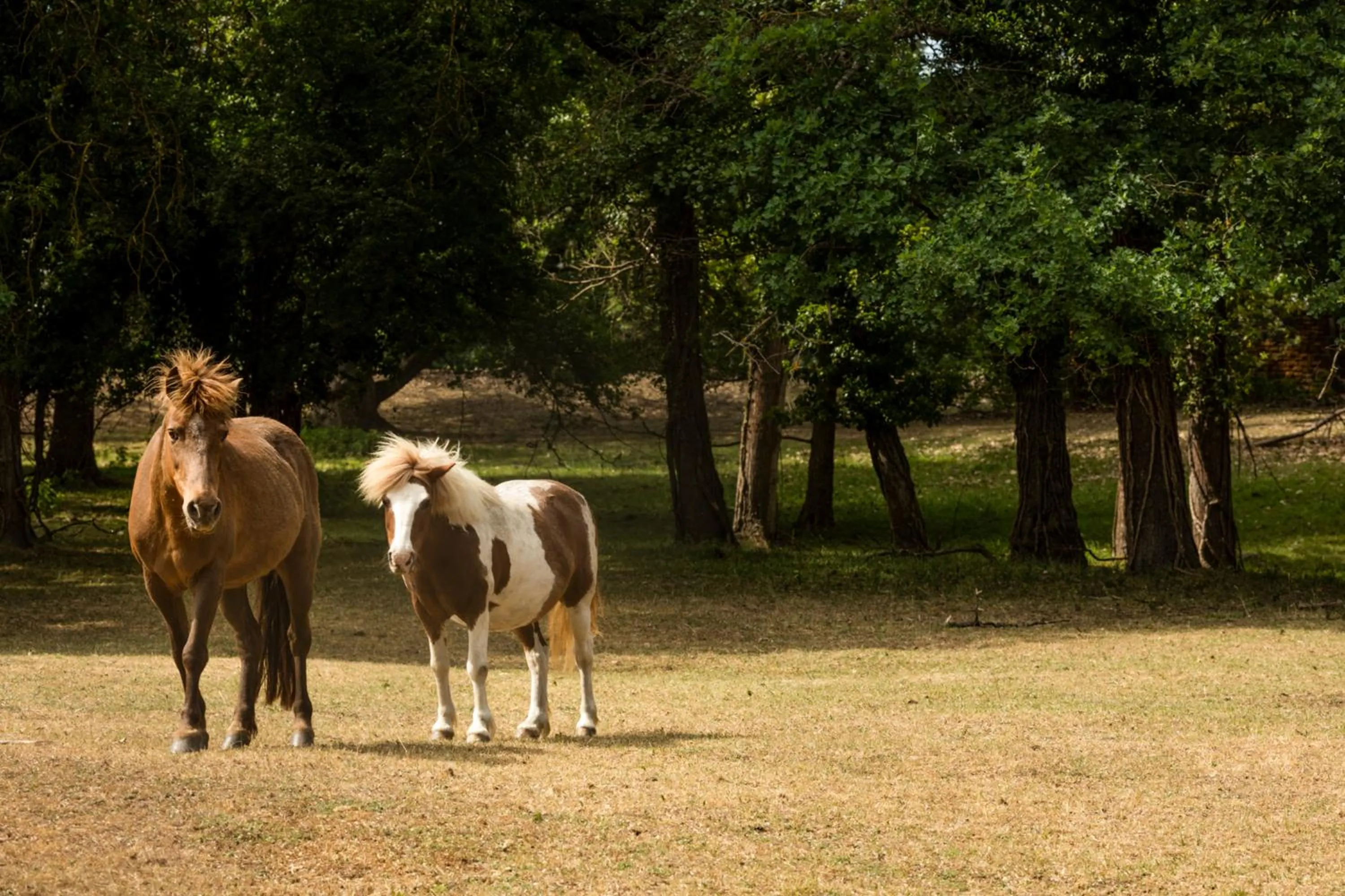 Nearby landmark in Garden & City Lyon - Marcy