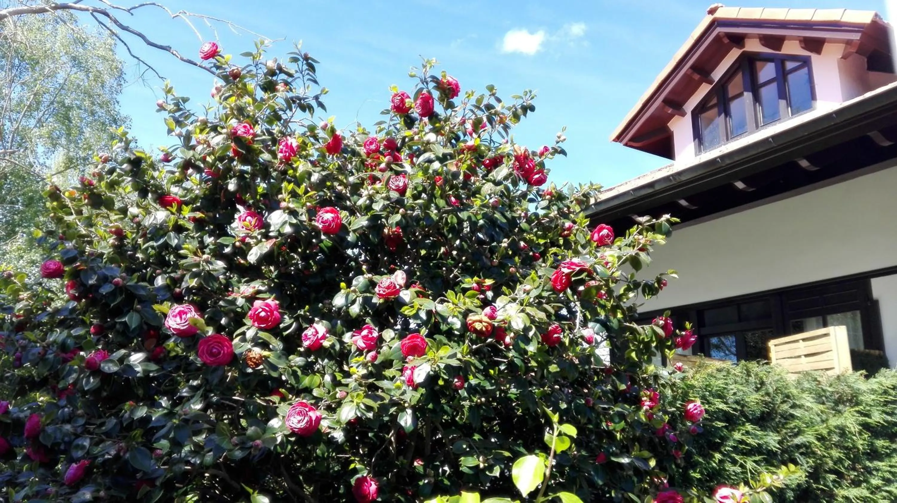 Hotel Rural El Pagadín