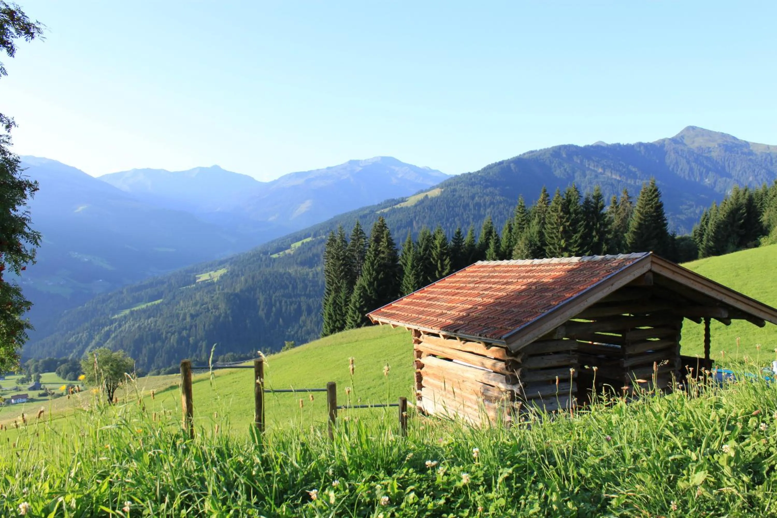 Natural landscape in Biobauernhof Fleckl