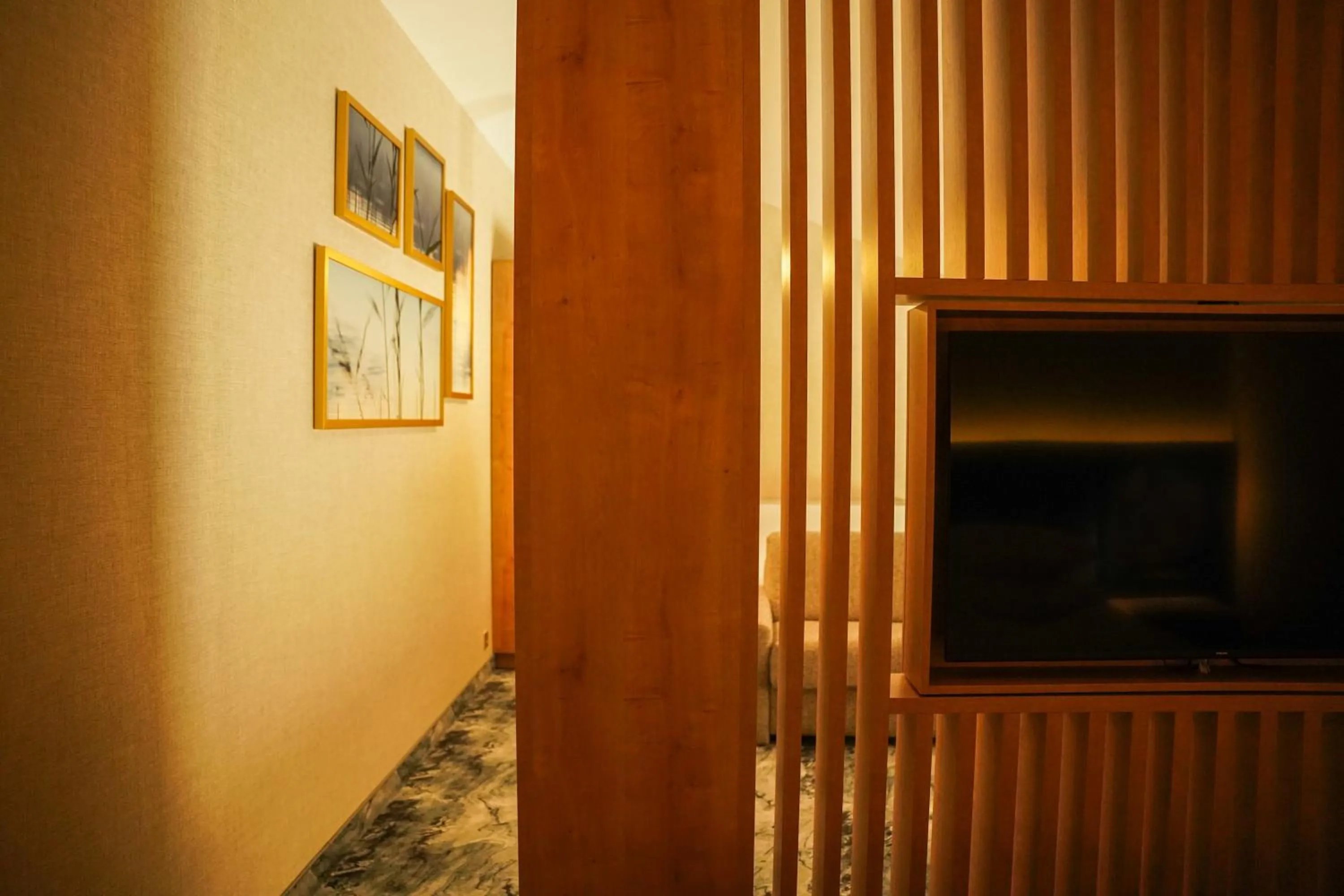 TV and multimedia in Hotel Mazurski Raj