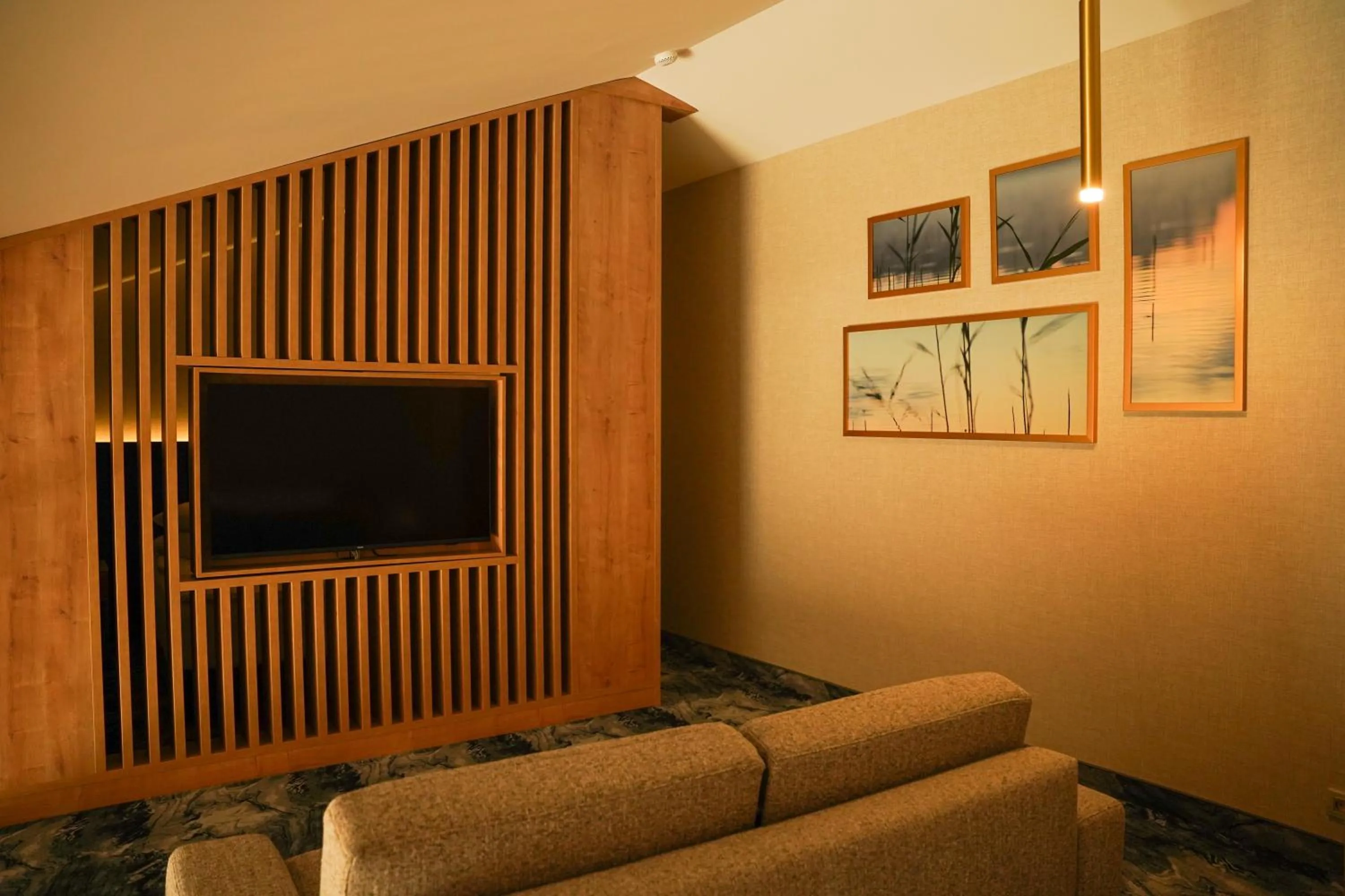 TV and multimedia in Hotel Mazurski Raj