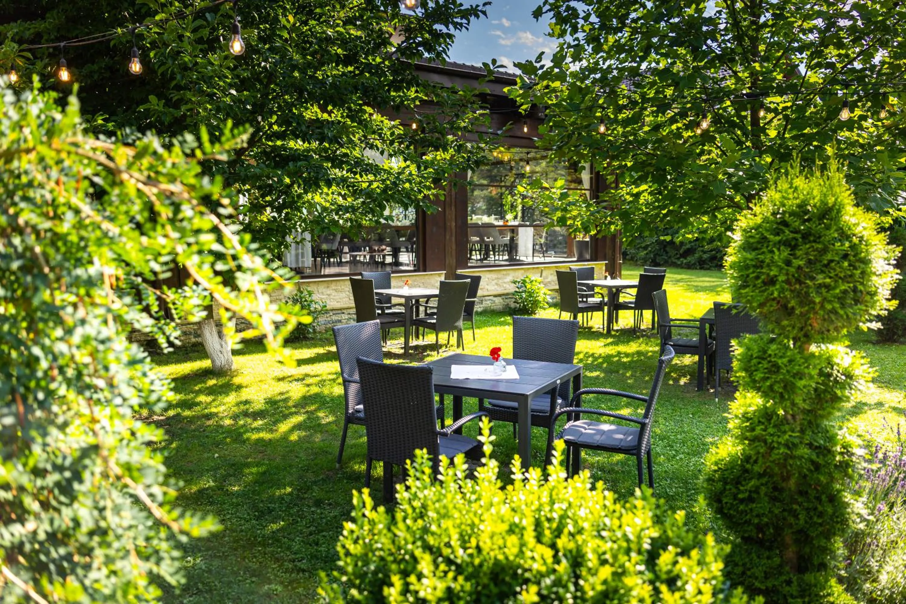 Armonia by Aristocratis