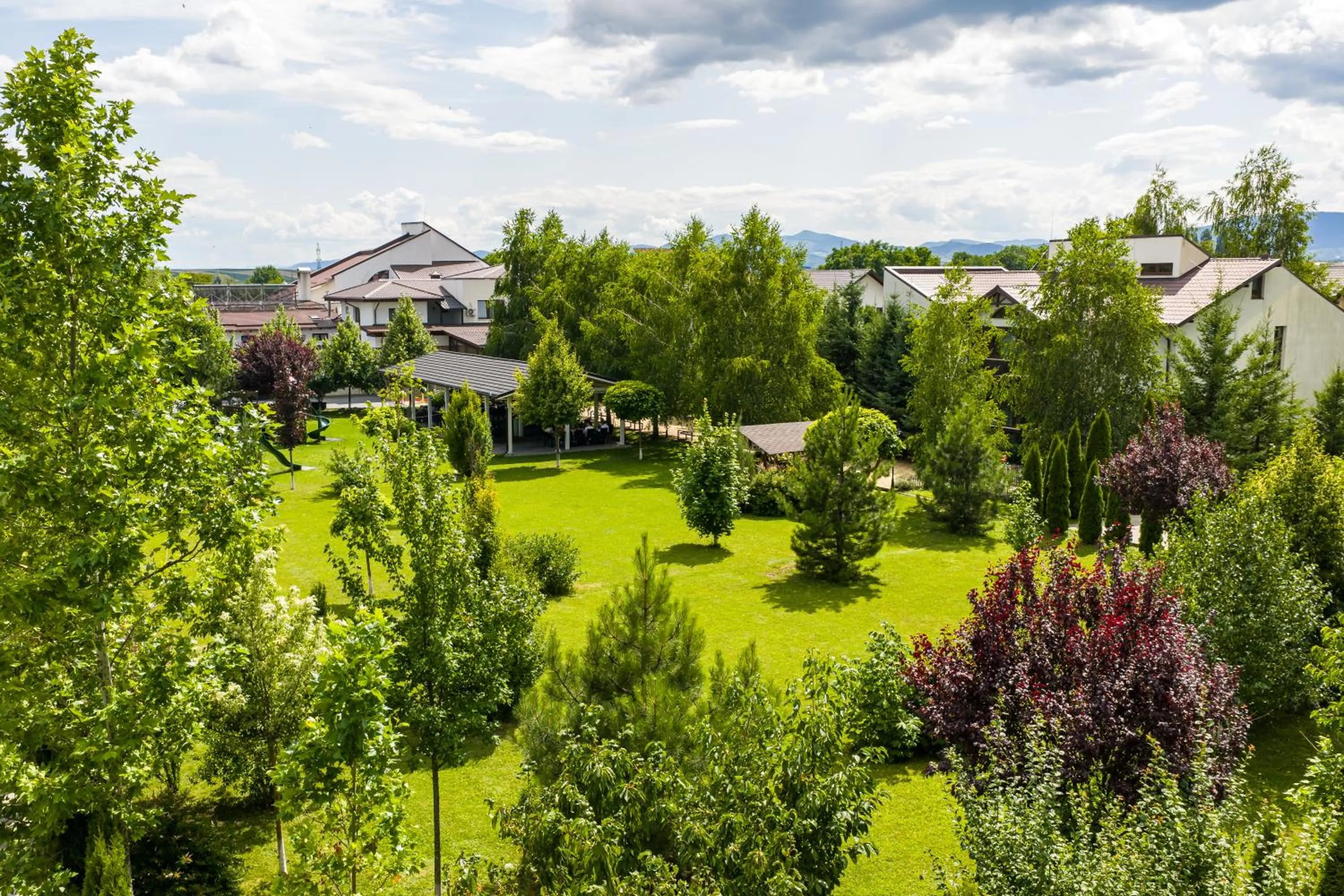 Armonia by Aristocratis