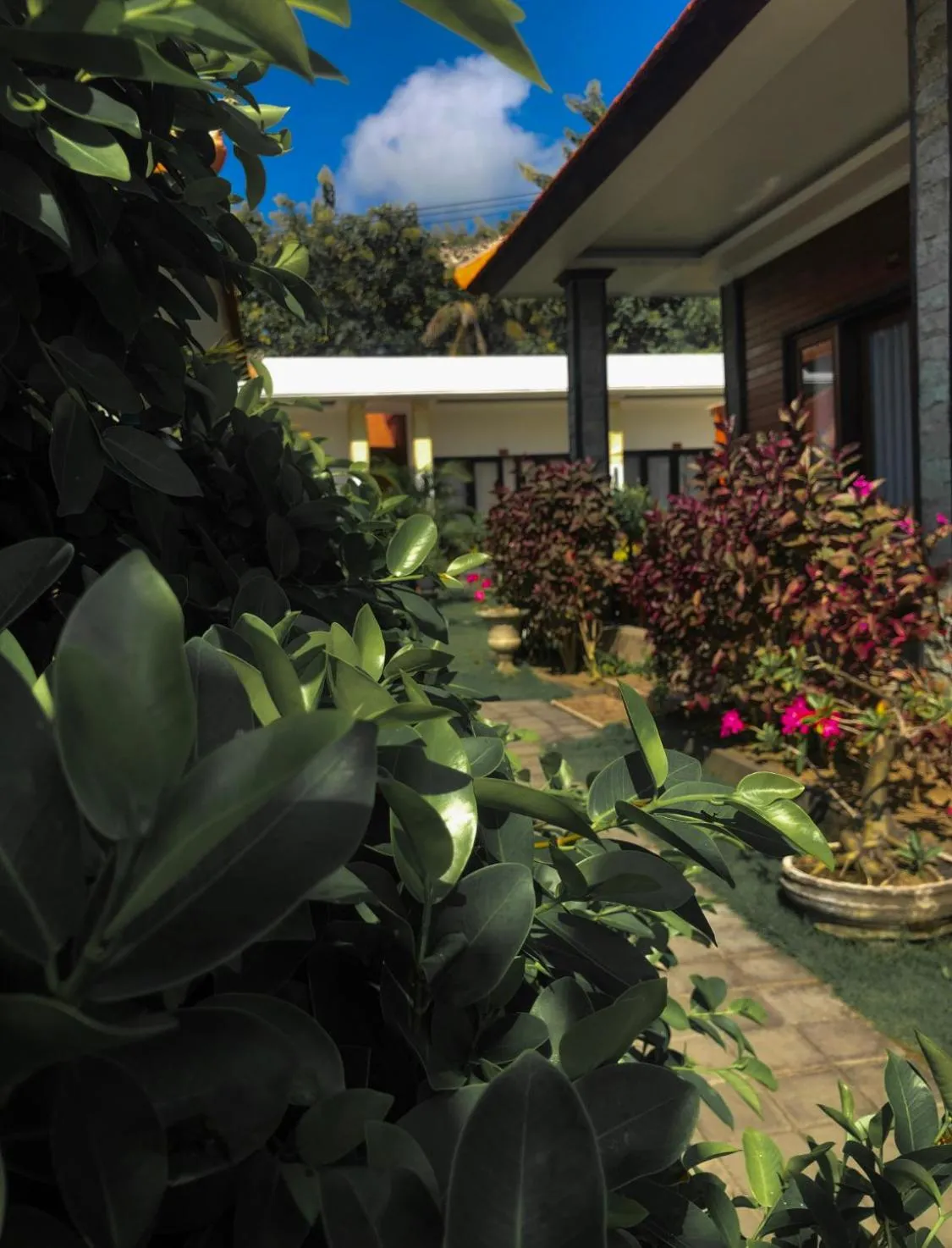 Property building in Juan Beach Bungalow