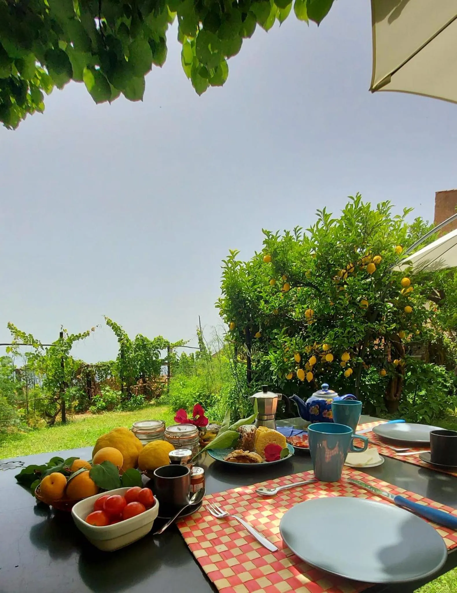 Garden in La Casa sul Blu Albergo Diffuso