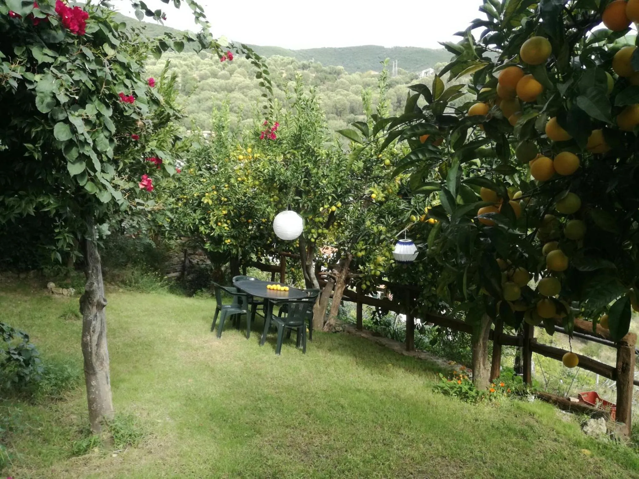 Garden in La Casa sul Blu Albergo Diffuso