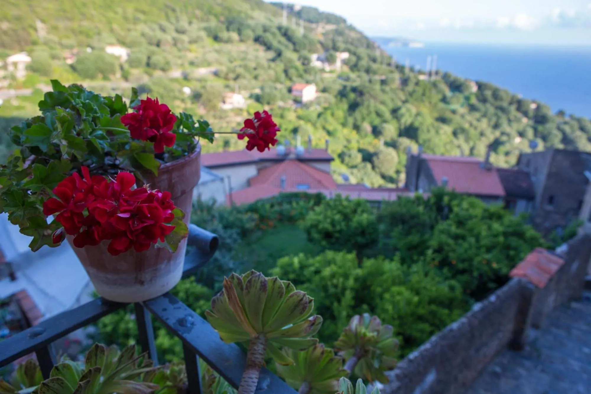 Garden in La Casa sul Blu Albergo Diffuso