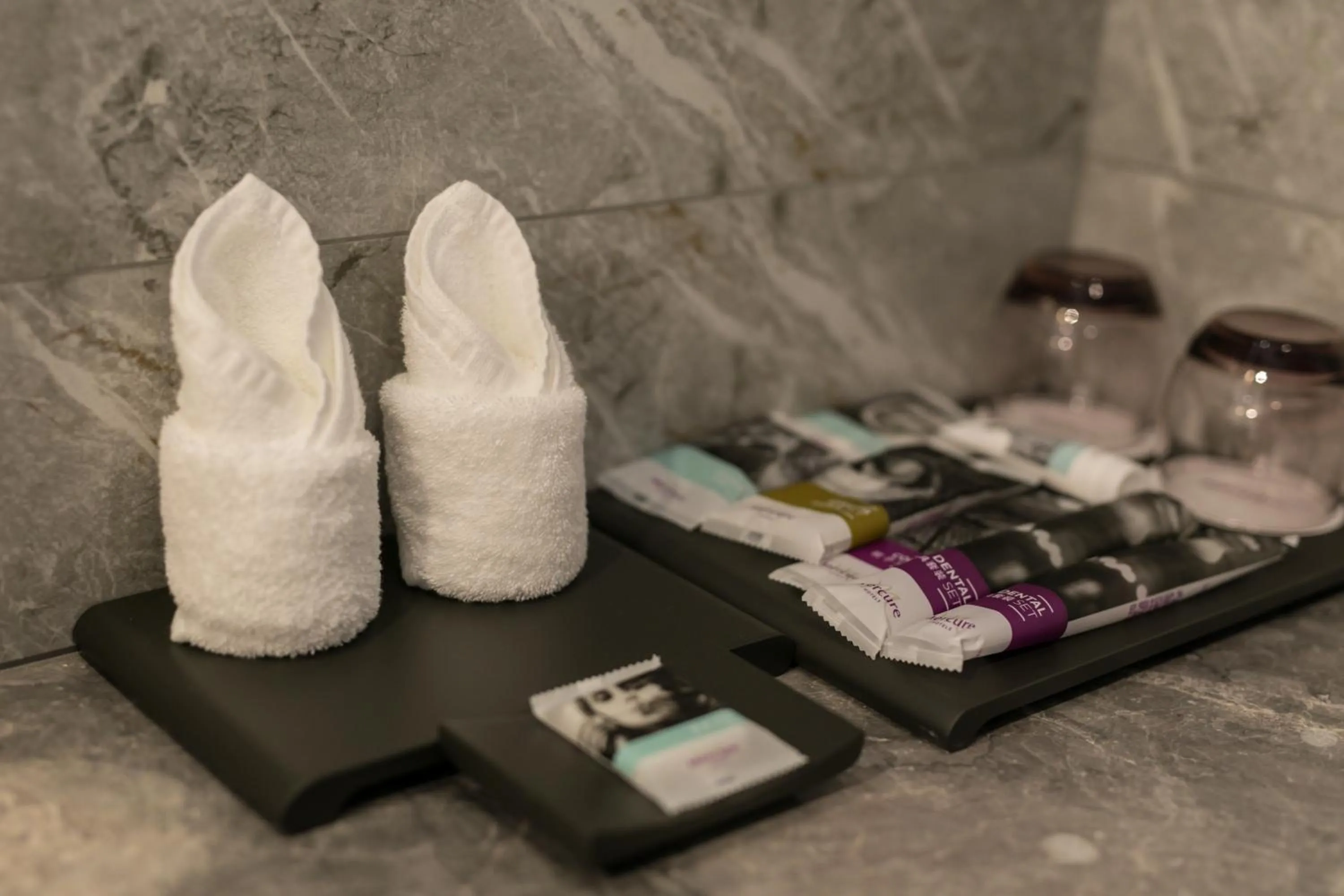 Mercure Ordos Downtown